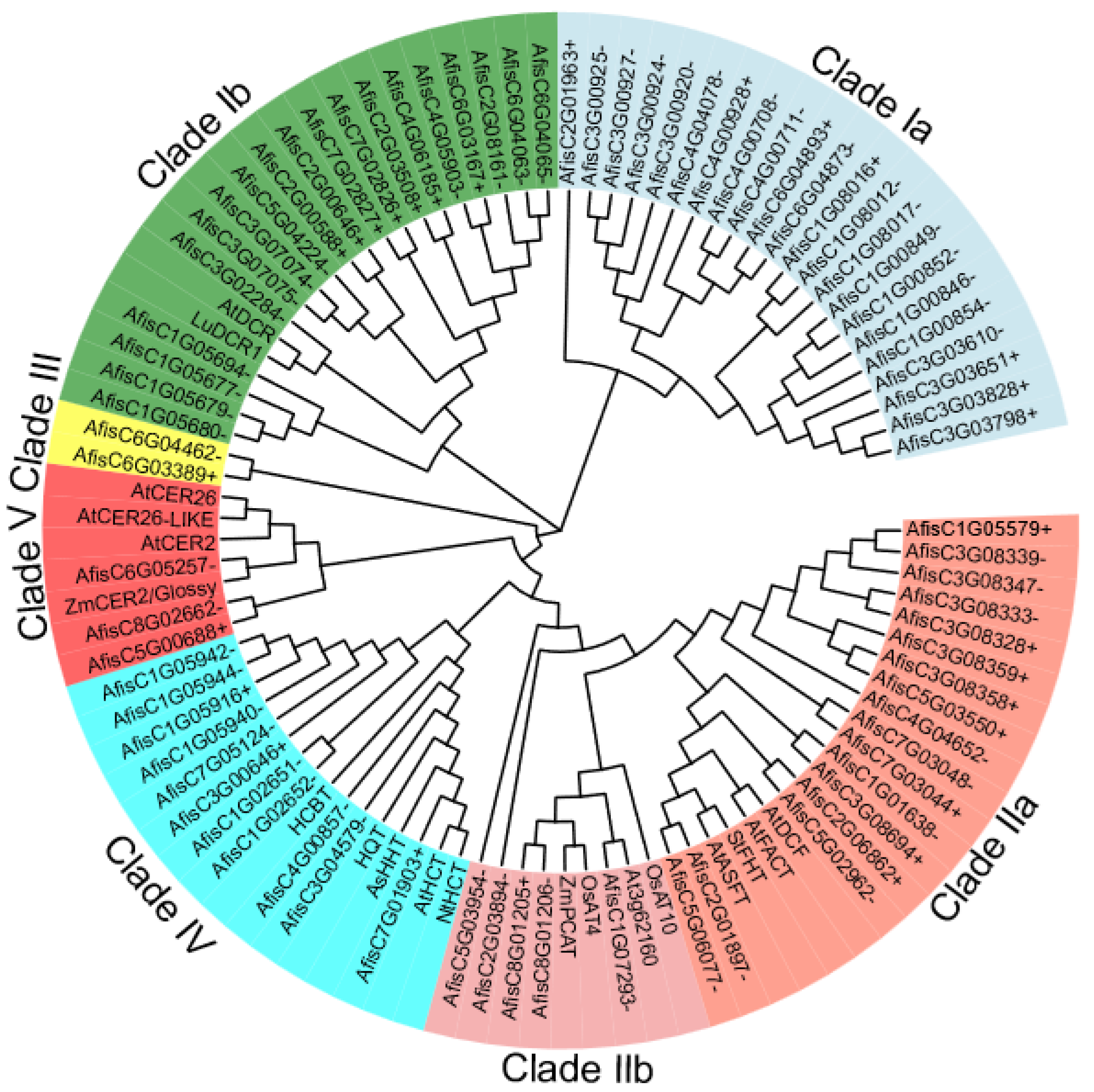 Genes 14 01286 g002 Genes 14 01286 g002