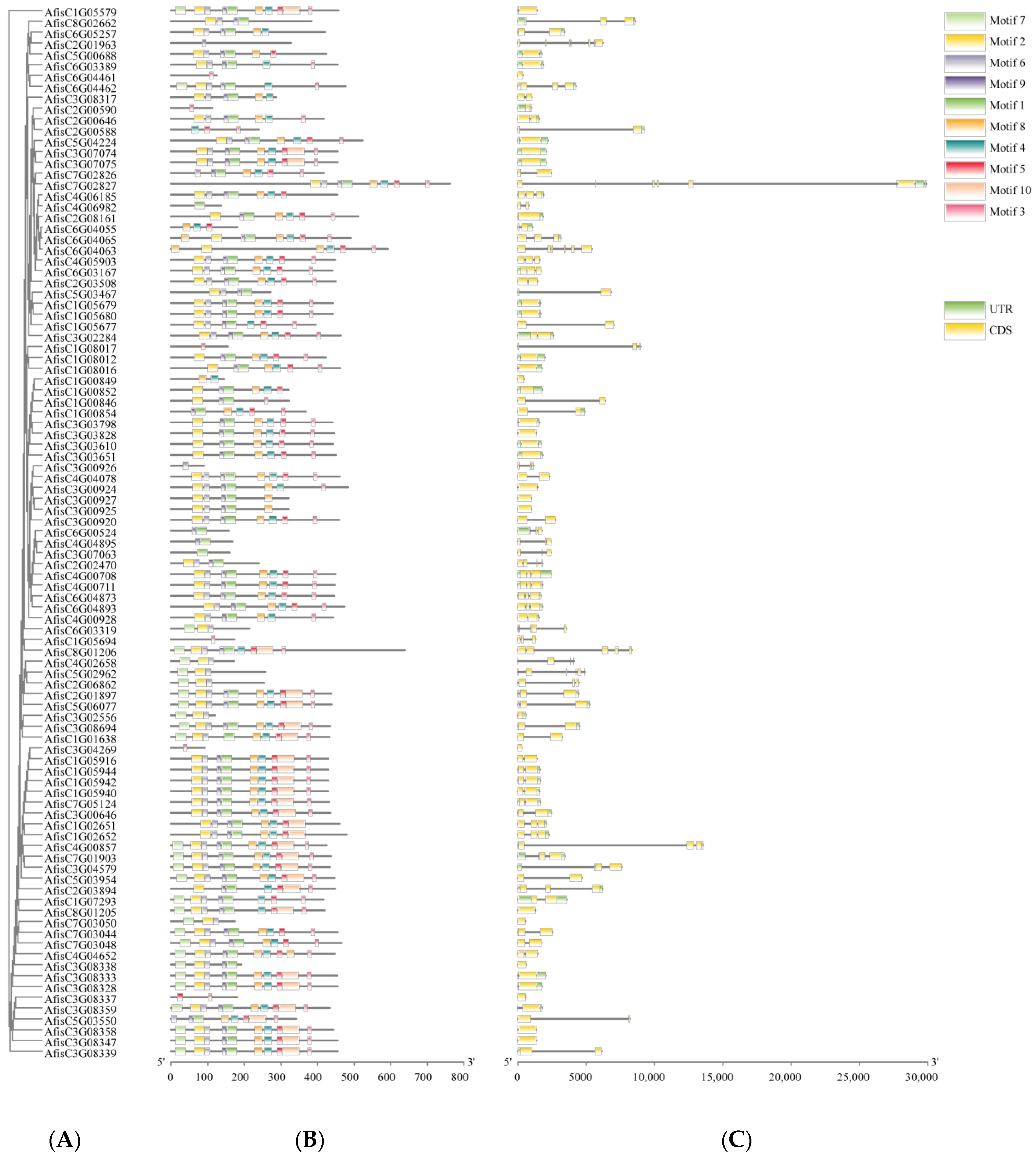 Genes 14 01286 g003 Genes 14 01286 g003