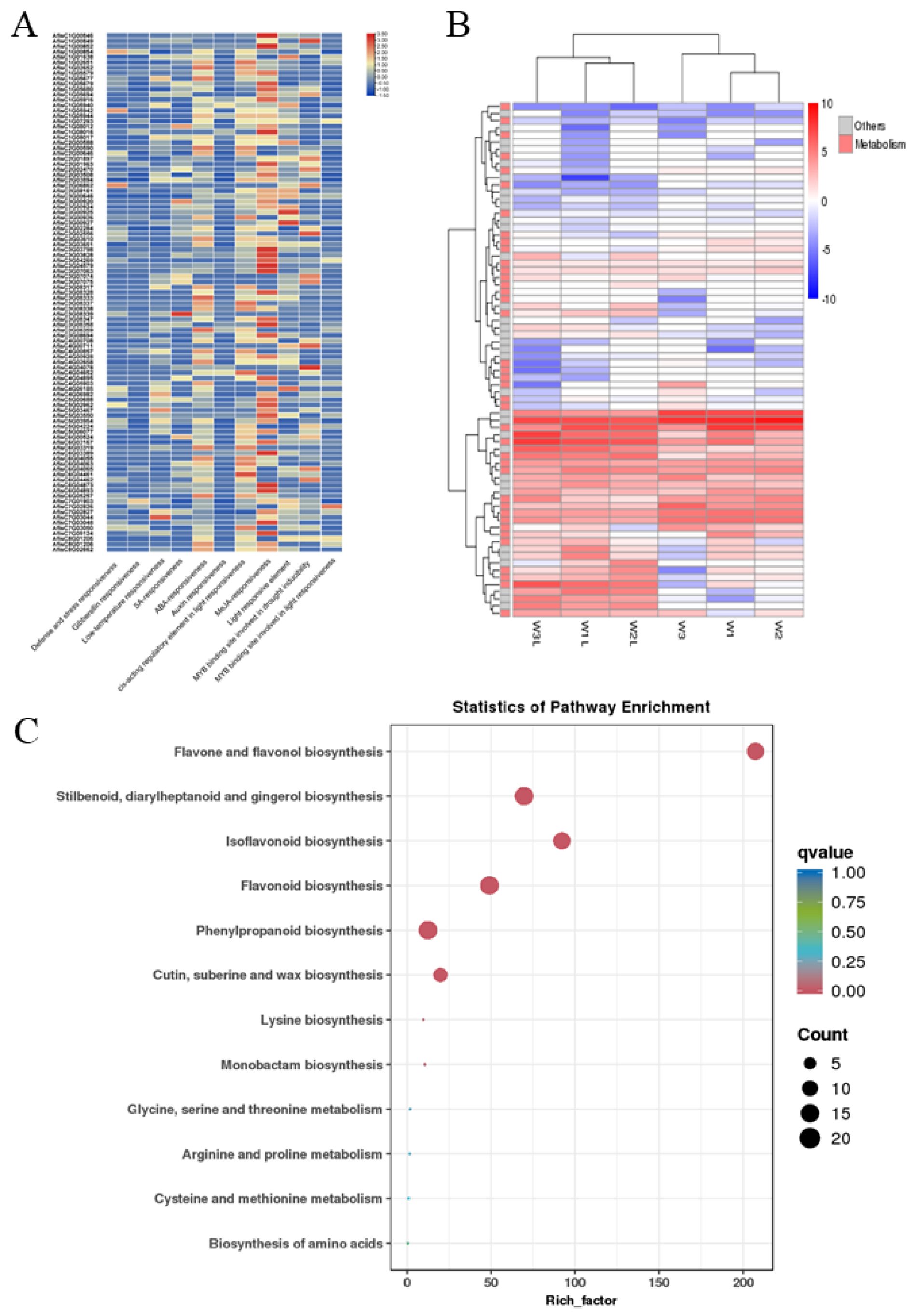 Genes 14 01286 g004 Genes 14 01286 g004