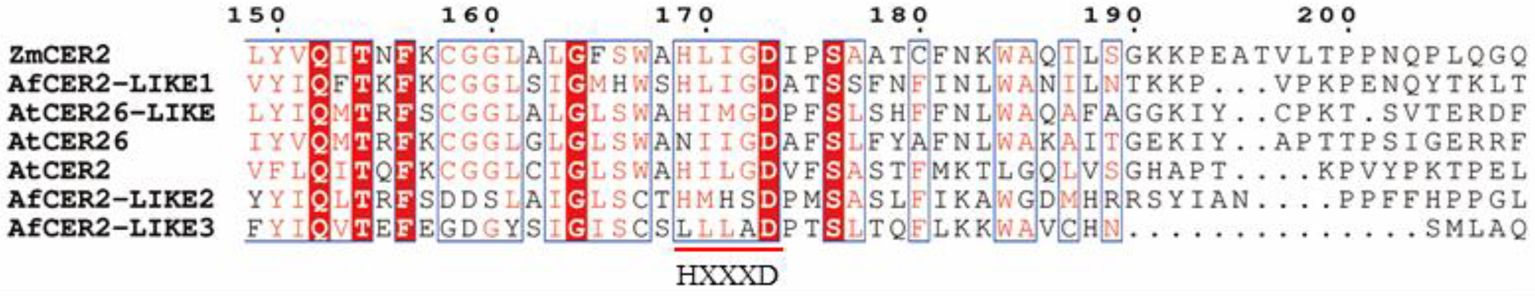 Genes 14 01286 g005 Genes 14 01286 g005