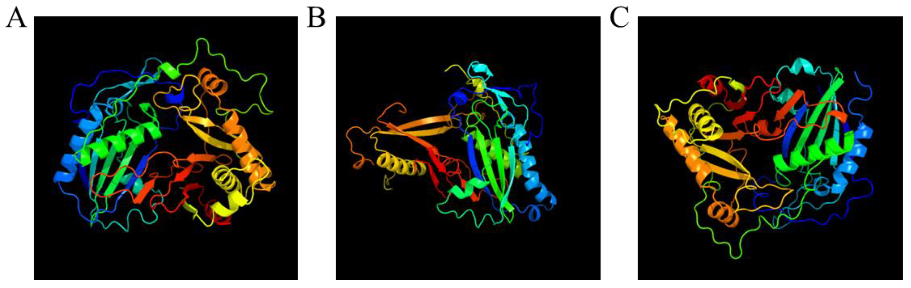 Genes 14 01286 g006 Genes 14 01286 g006