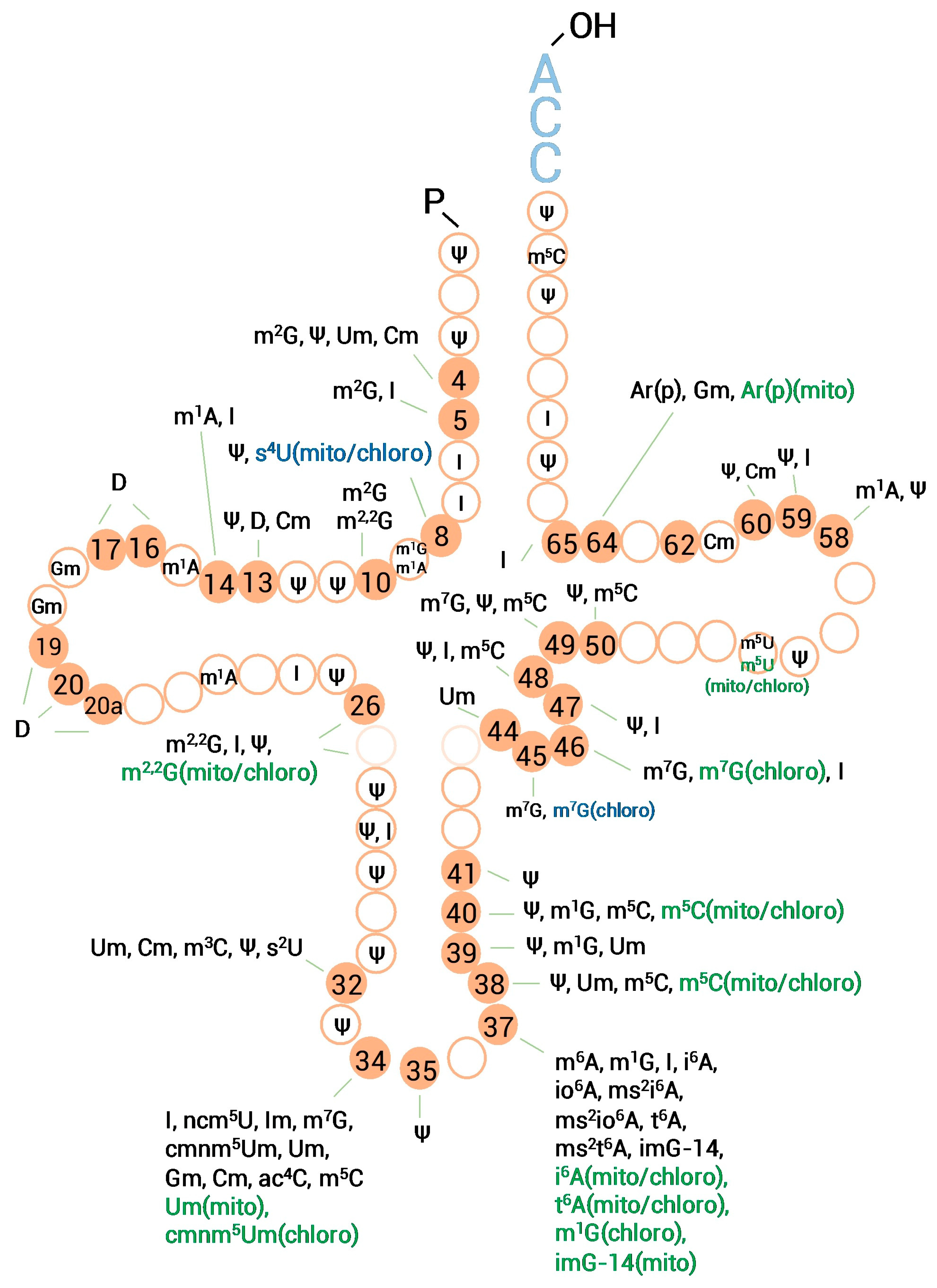 Genes 14 01287 g002 Genes 14 01287 g002