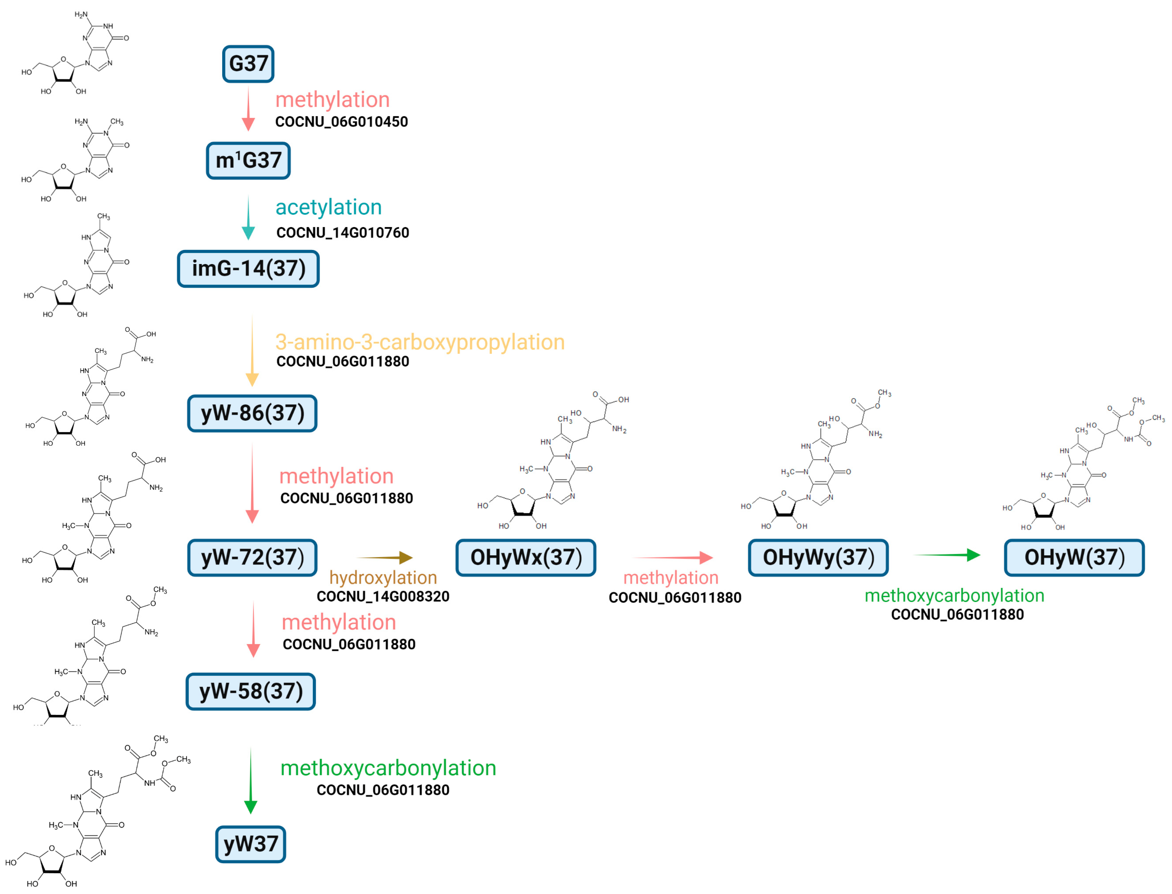 Genes 14 01287 g003 Genes 14 01287 g003