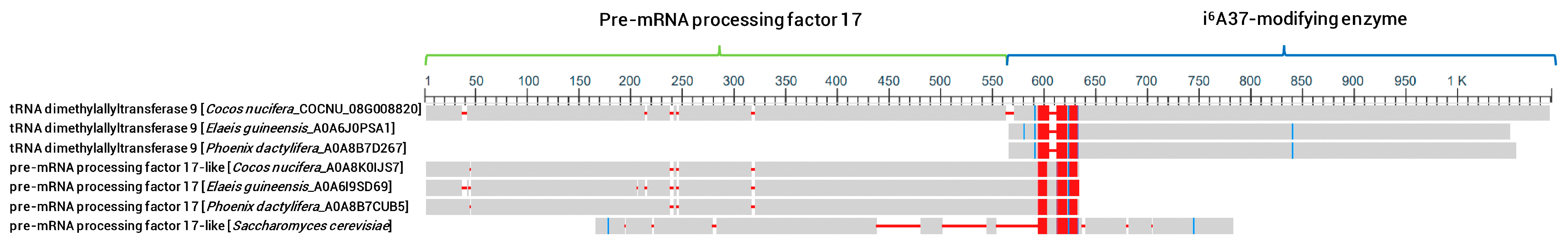 Genes 14 01287 g007 Genes 14 01287 g007