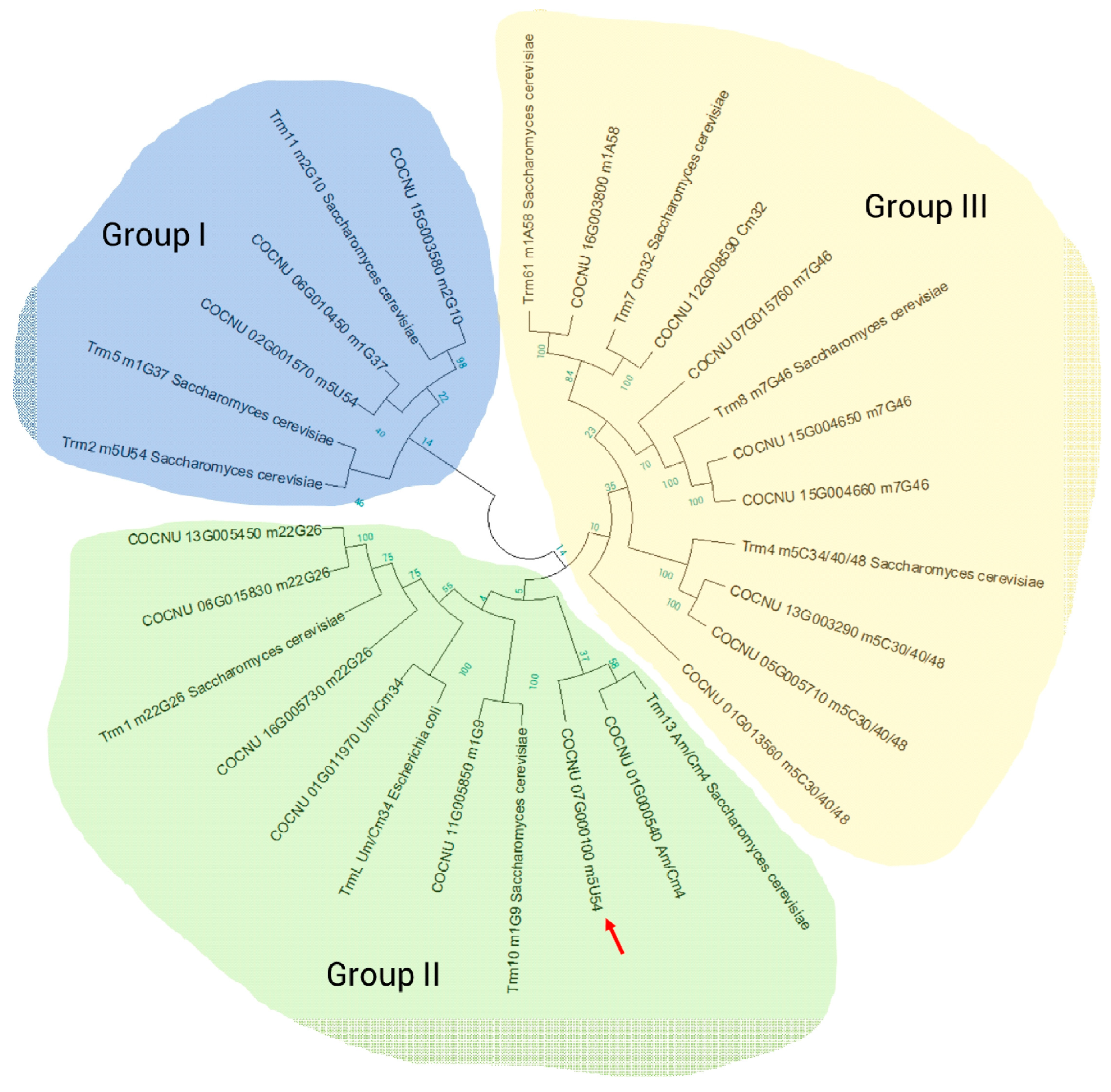 Genes 14 01287 g008 Genes 14 01287 g008