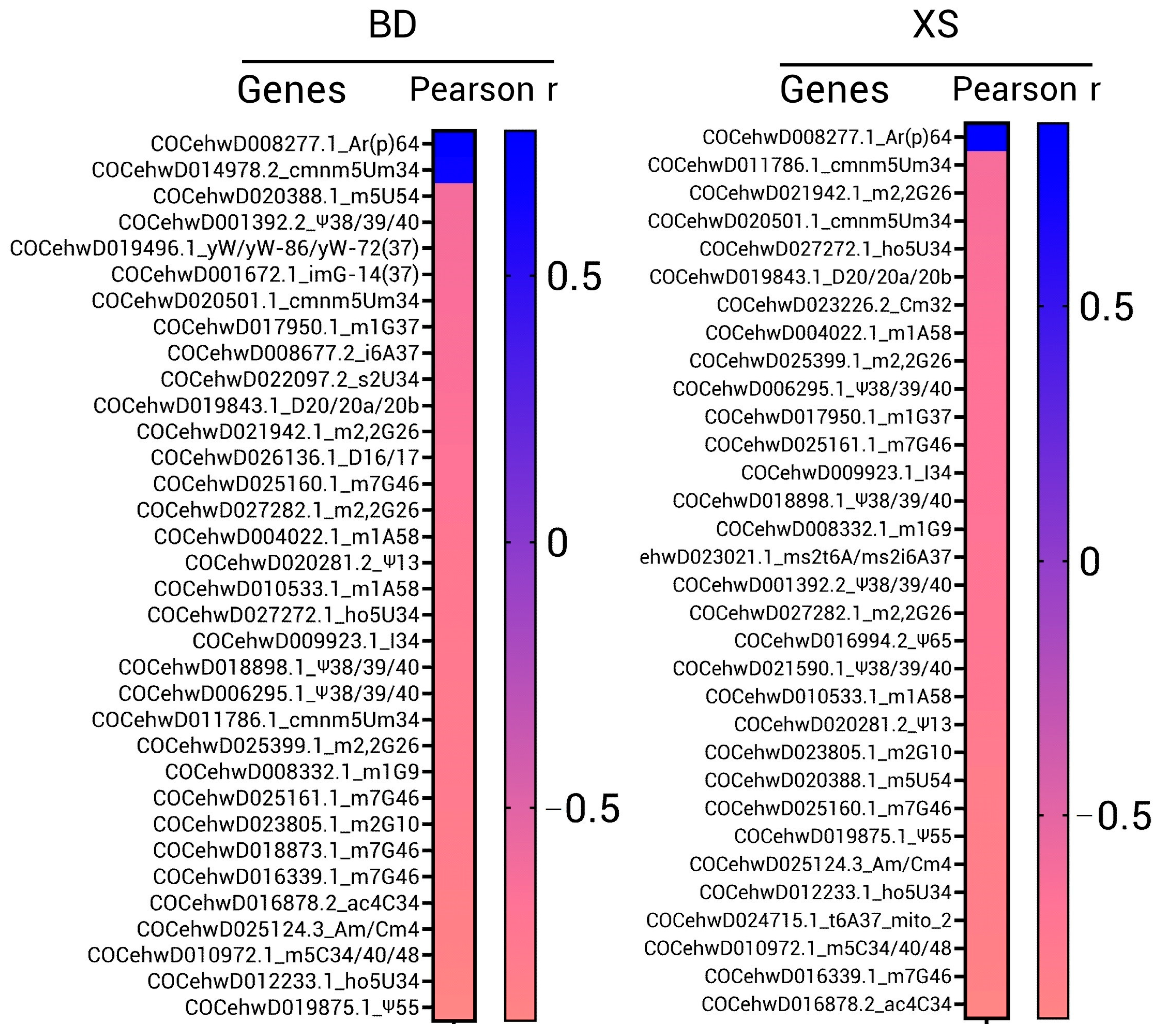 Genes 14 01287 g010 Genes 14 01287 g010