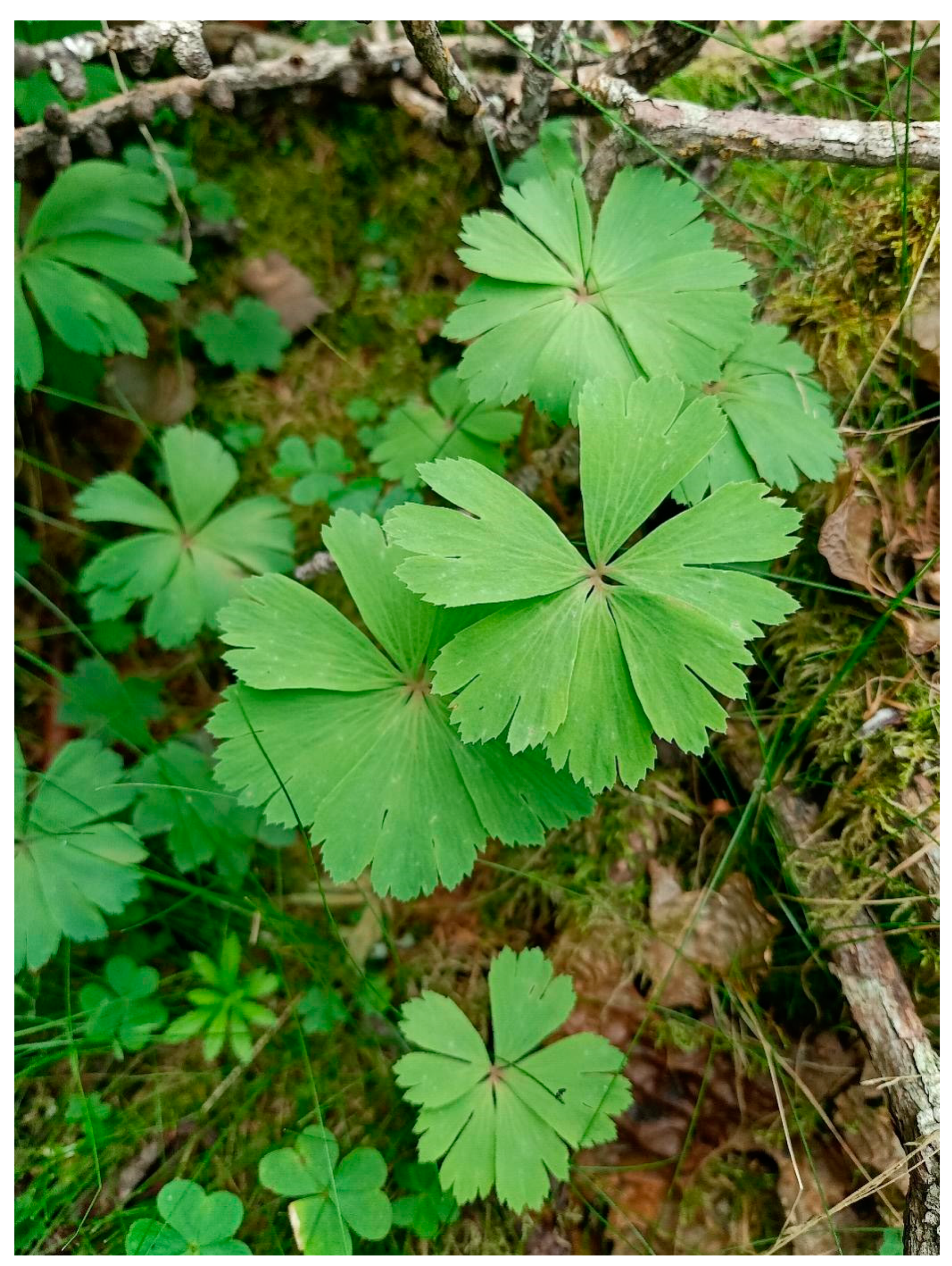 Genes 14 01291 g001 Genes 14 01291 g001