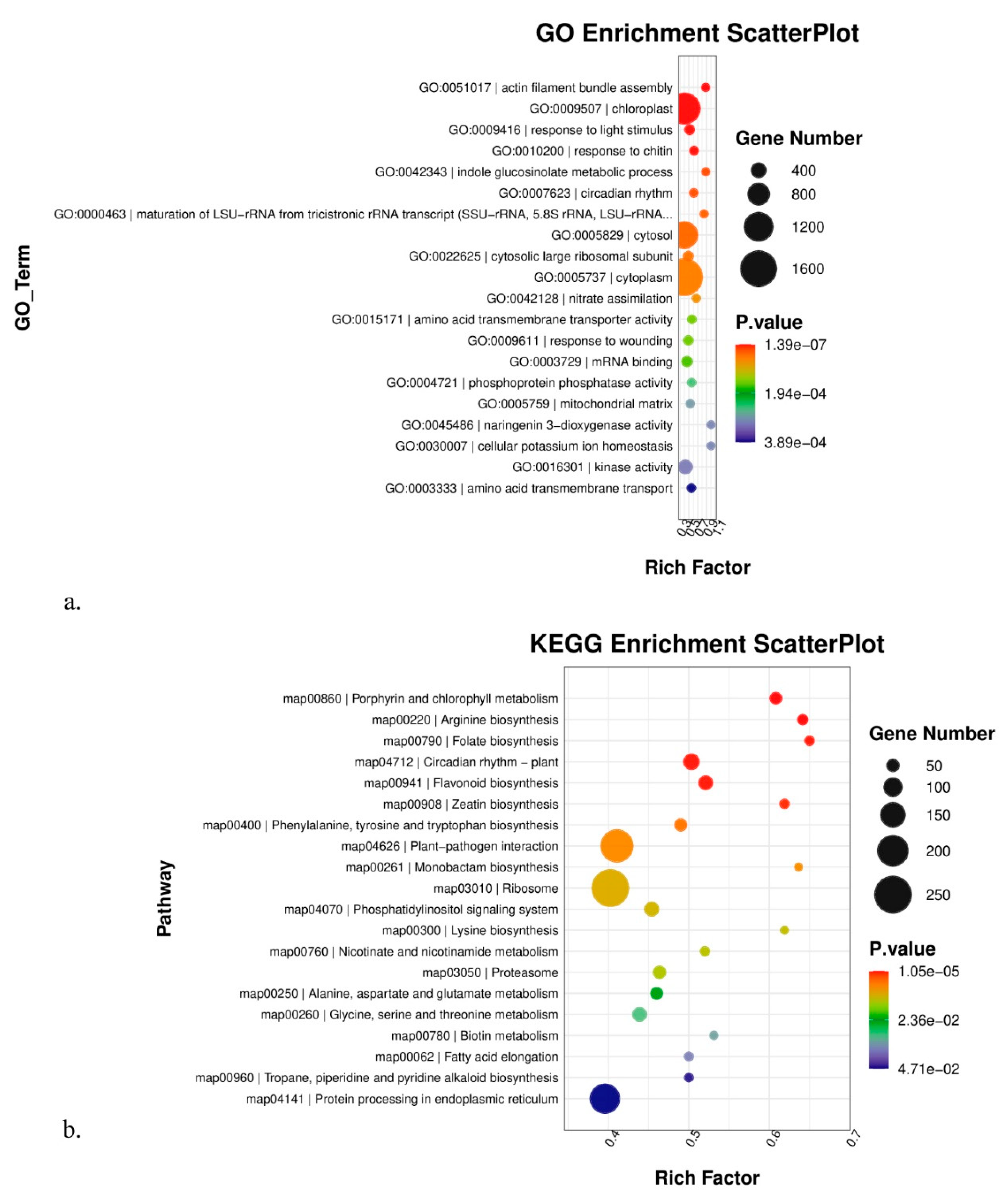 Genes 14 01291 g003 Genes 14 01291 g003