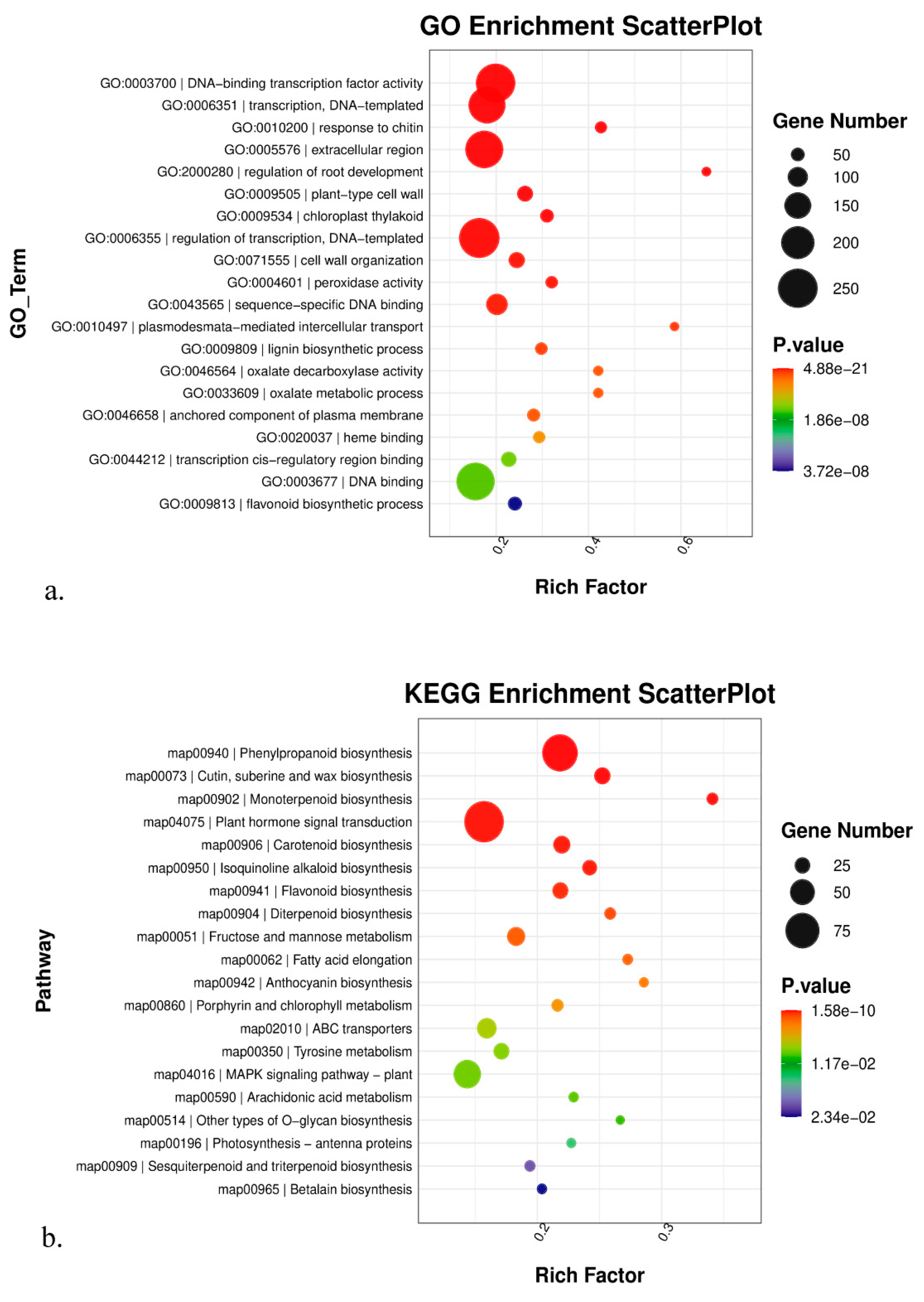 Genes 14 01291 g004 Genes 14 01291 g004