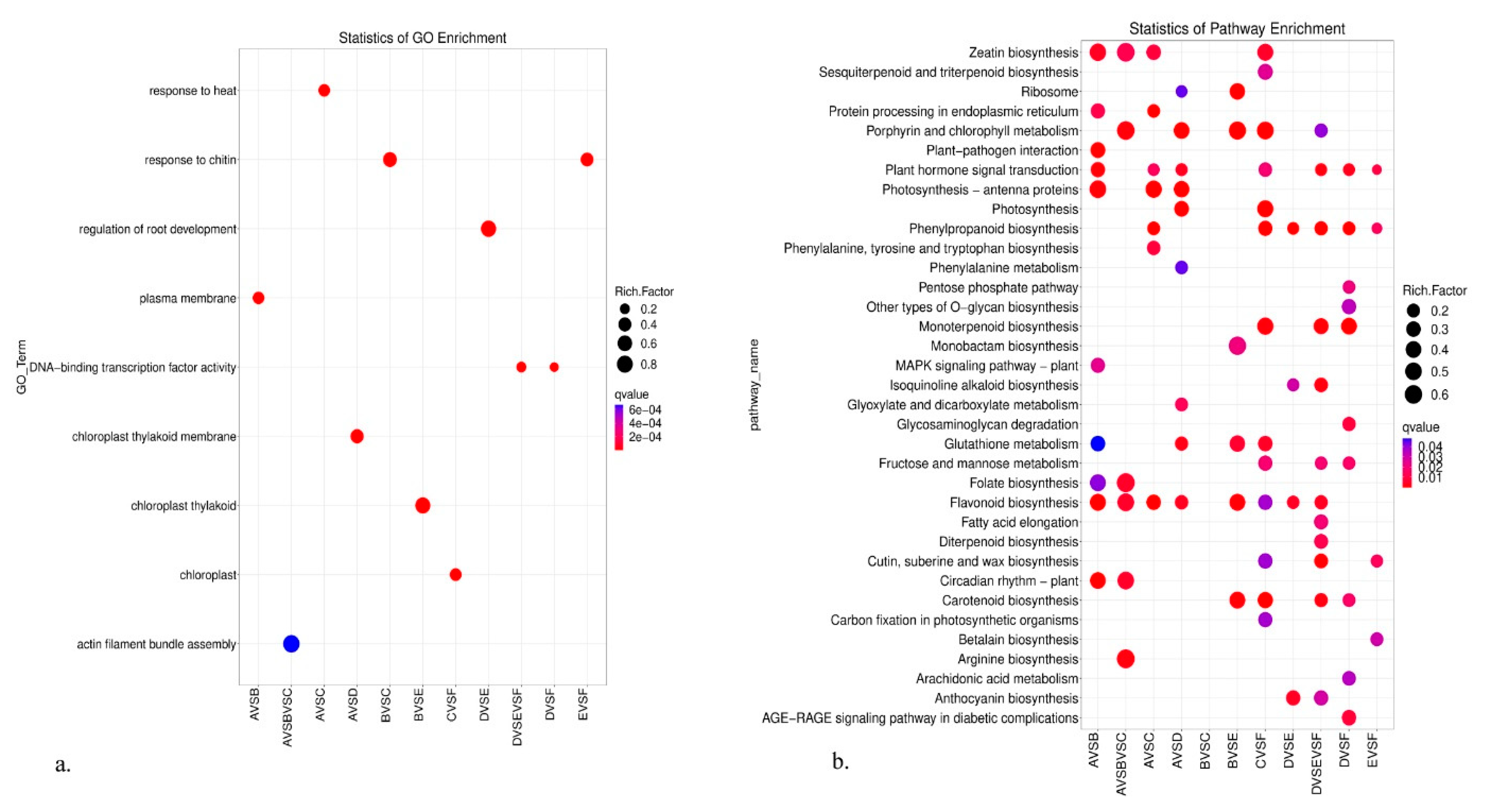 Genes 14 01291 g005 Genes 14 01291 g005