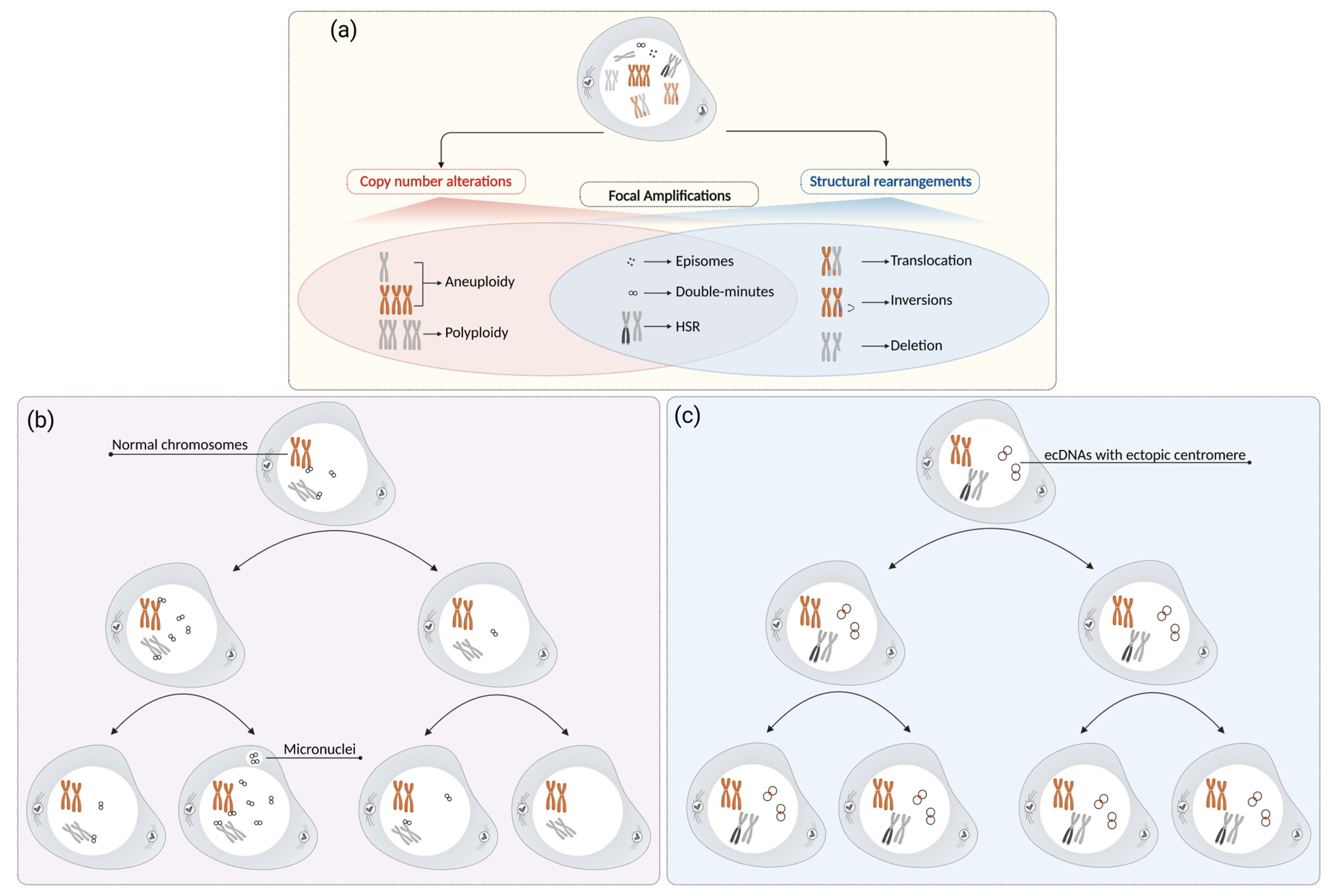Genes 14 01304 g001 Genes 14 01304 g001