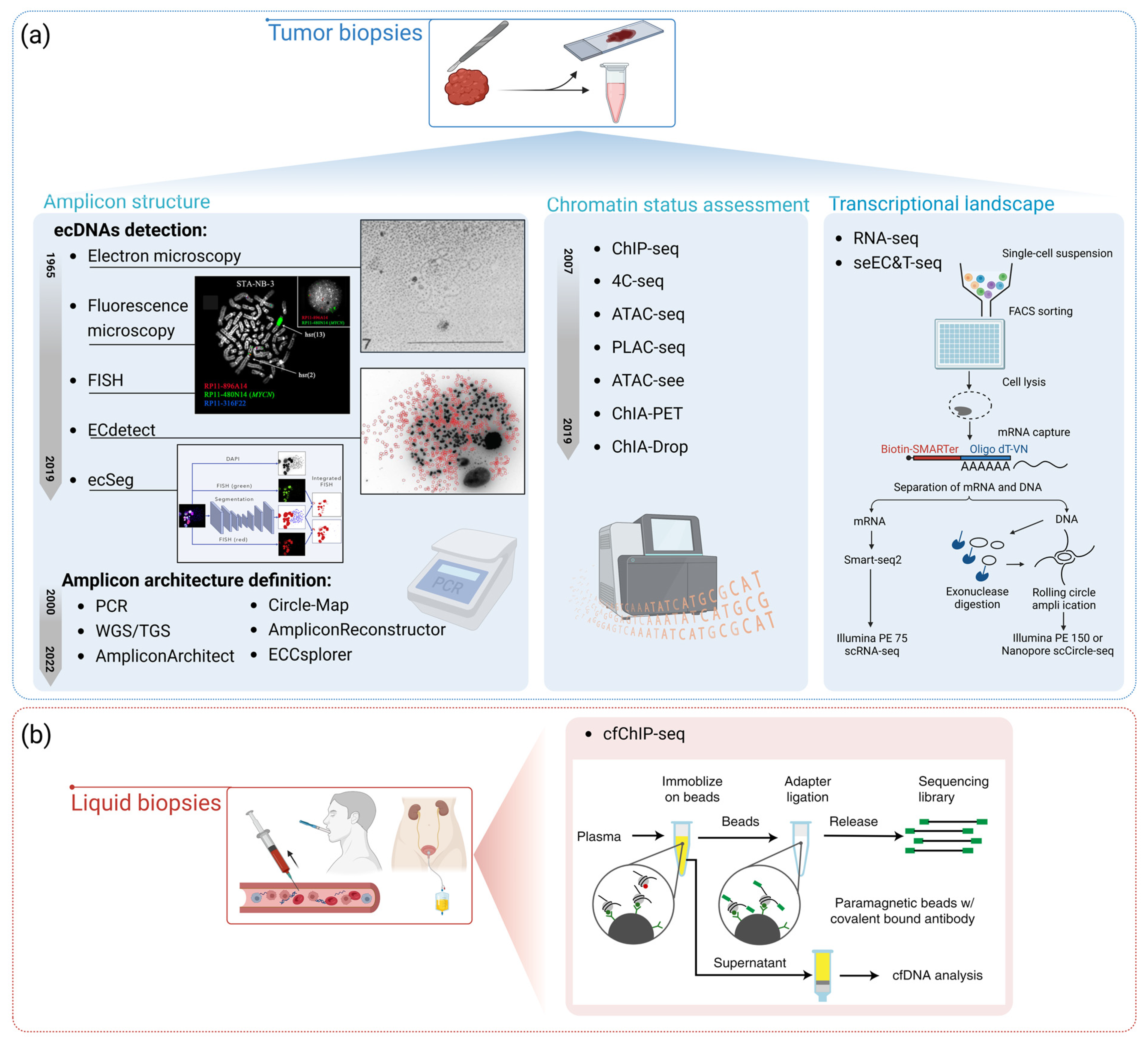 Genes 14 01304 g003 Genes 14 01304 g003
