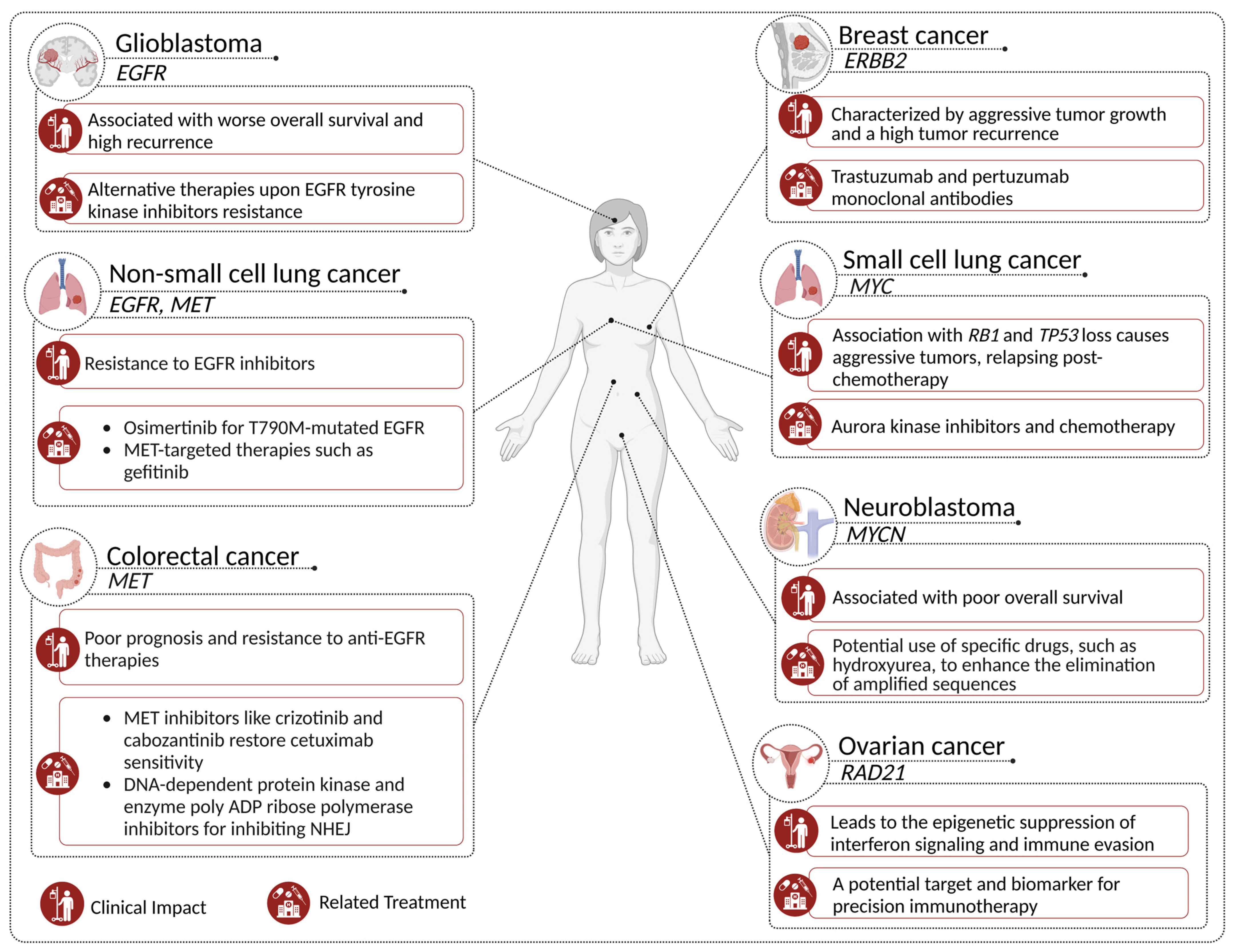 Genes 14 01304 g004 Genes 14 01304 g004