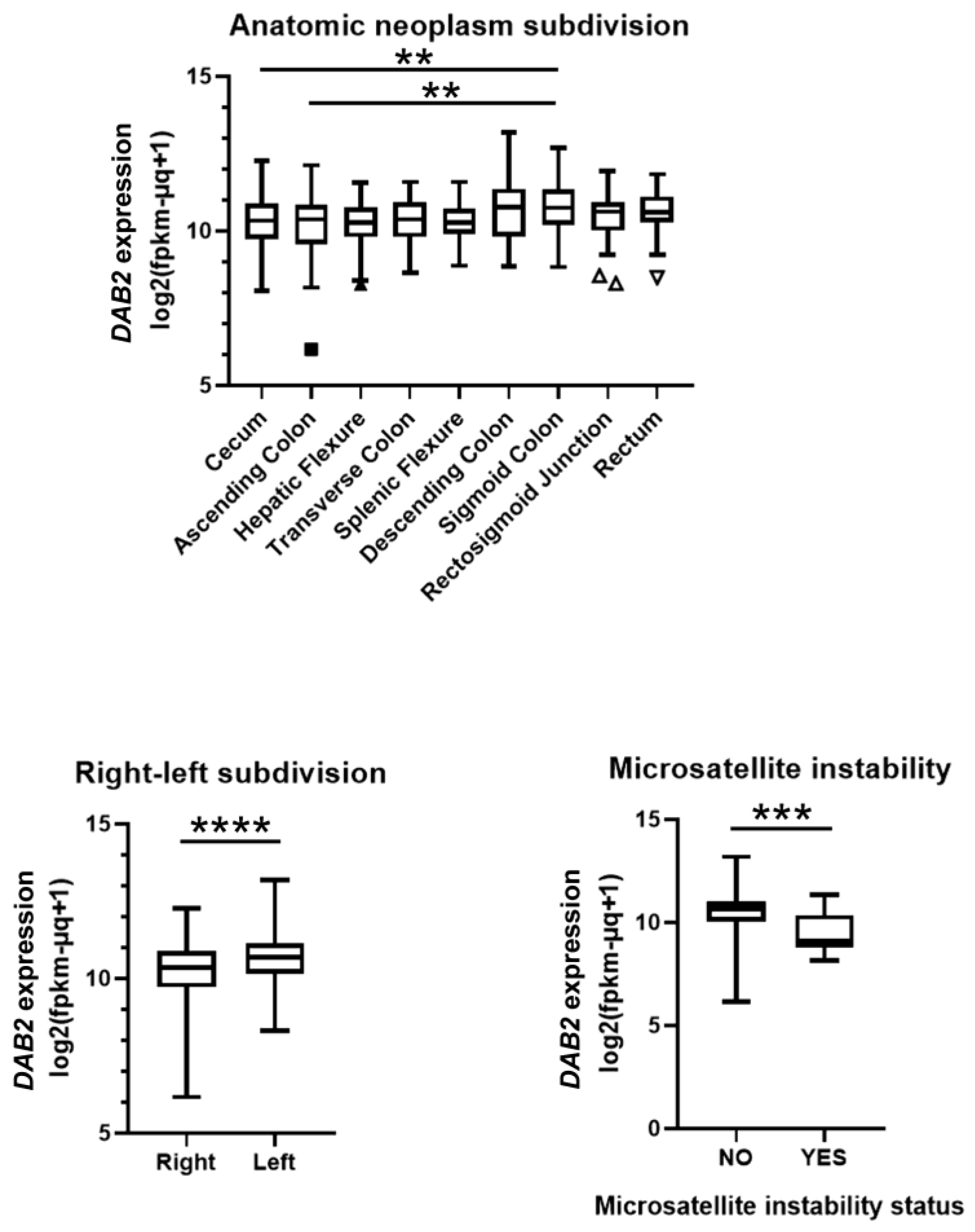 Genes 14 01306 g004 Genes 14 01306 g004