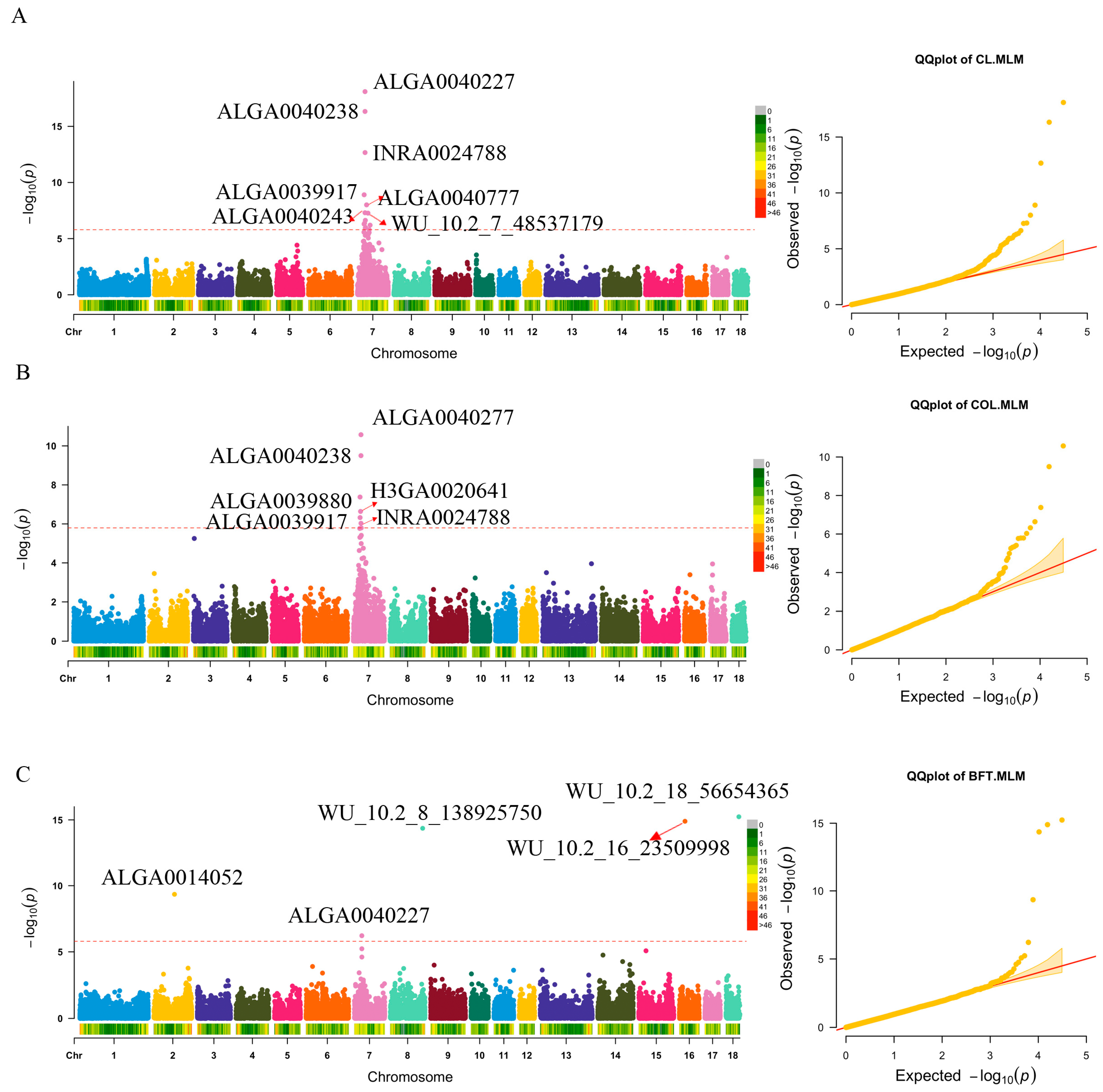 Genes 14 01308 g001 Genes 14 01308 g001