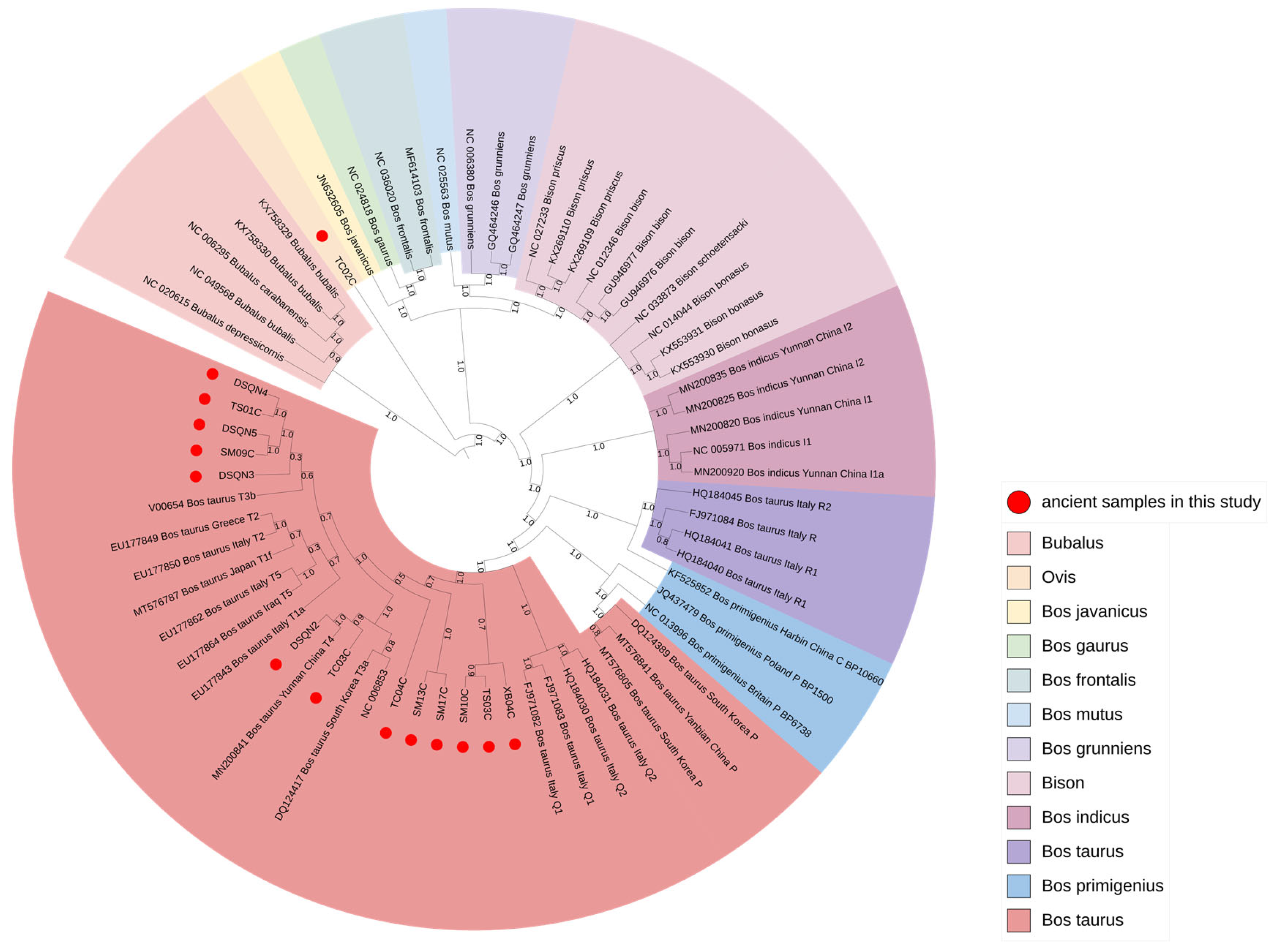 Genes 14 01313 g002 Genes 14 01313 g002