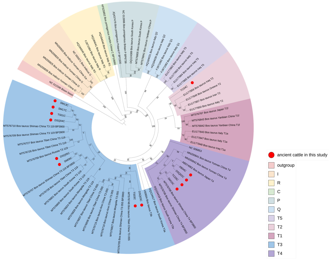 Genes 14 01313 g003 Genes 14 01313 g003