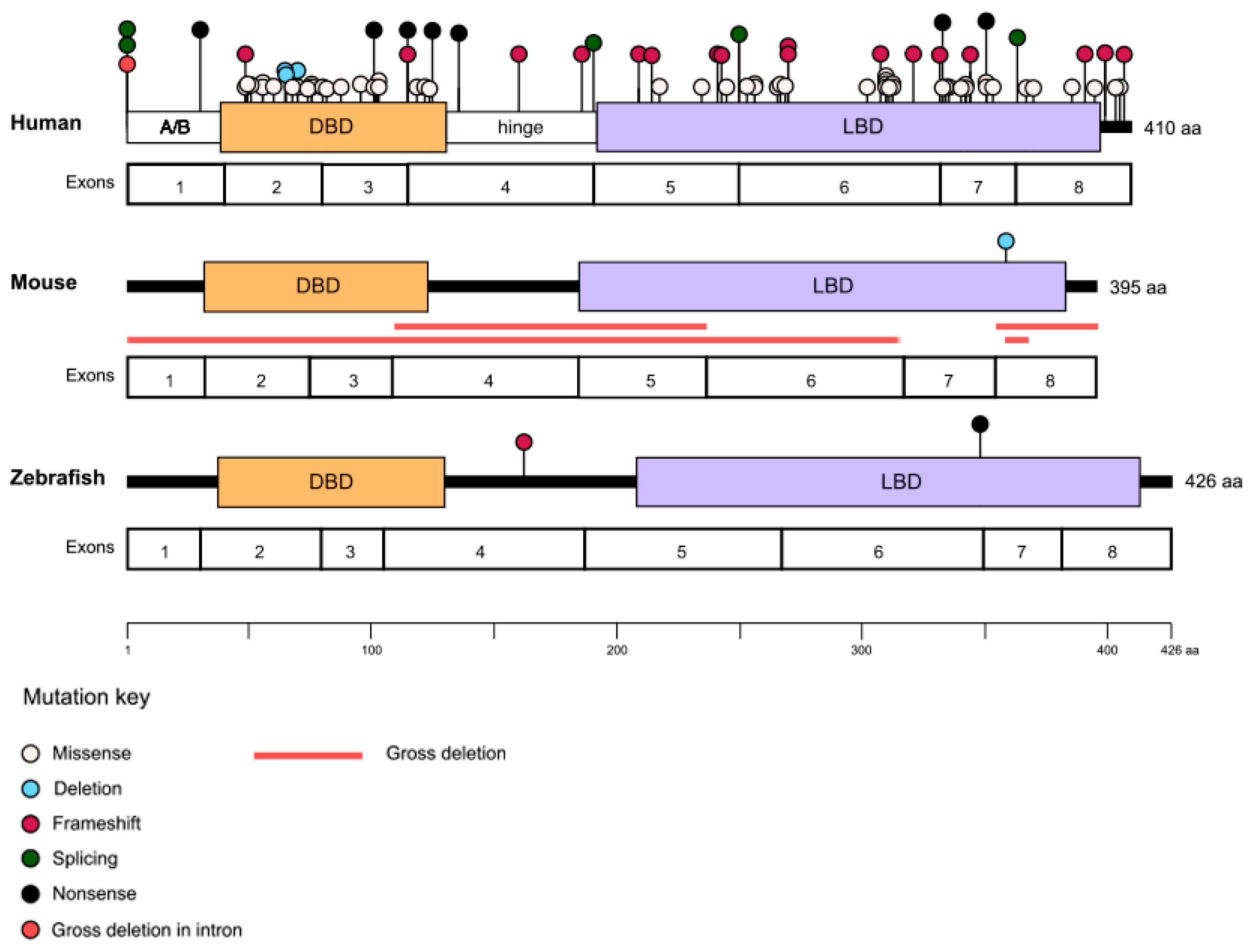 Genes 14 01325 g002 Genes 14 01325 g002