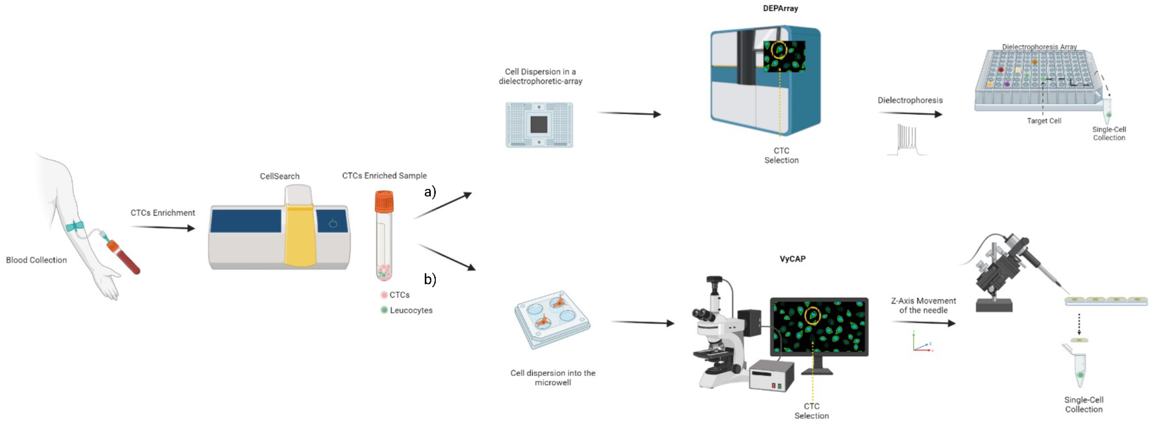 Genes 14 01330 g002 Genes 14 01330 g002
