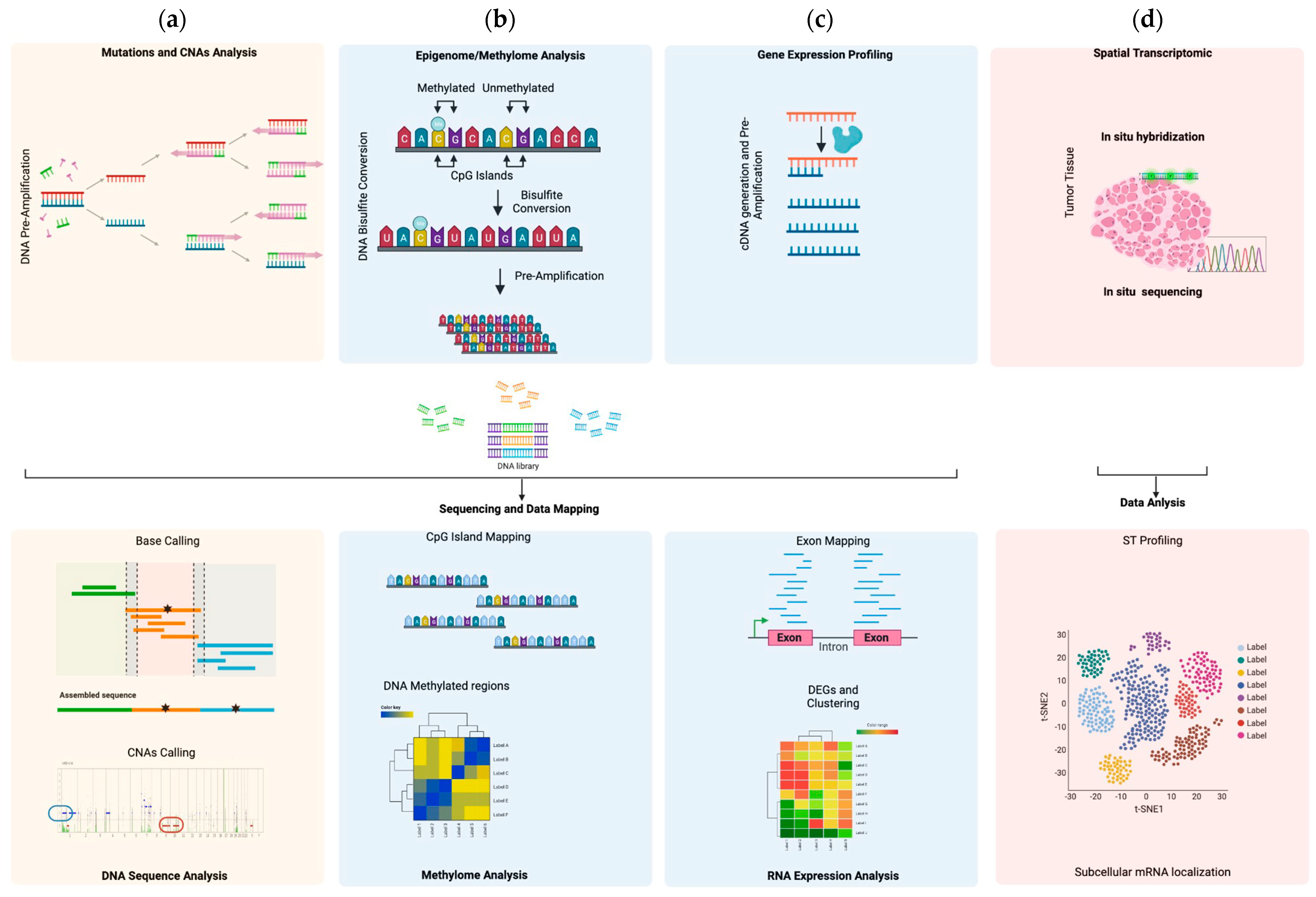 Genes 14 01330 g003 Genes 14 01330 g003