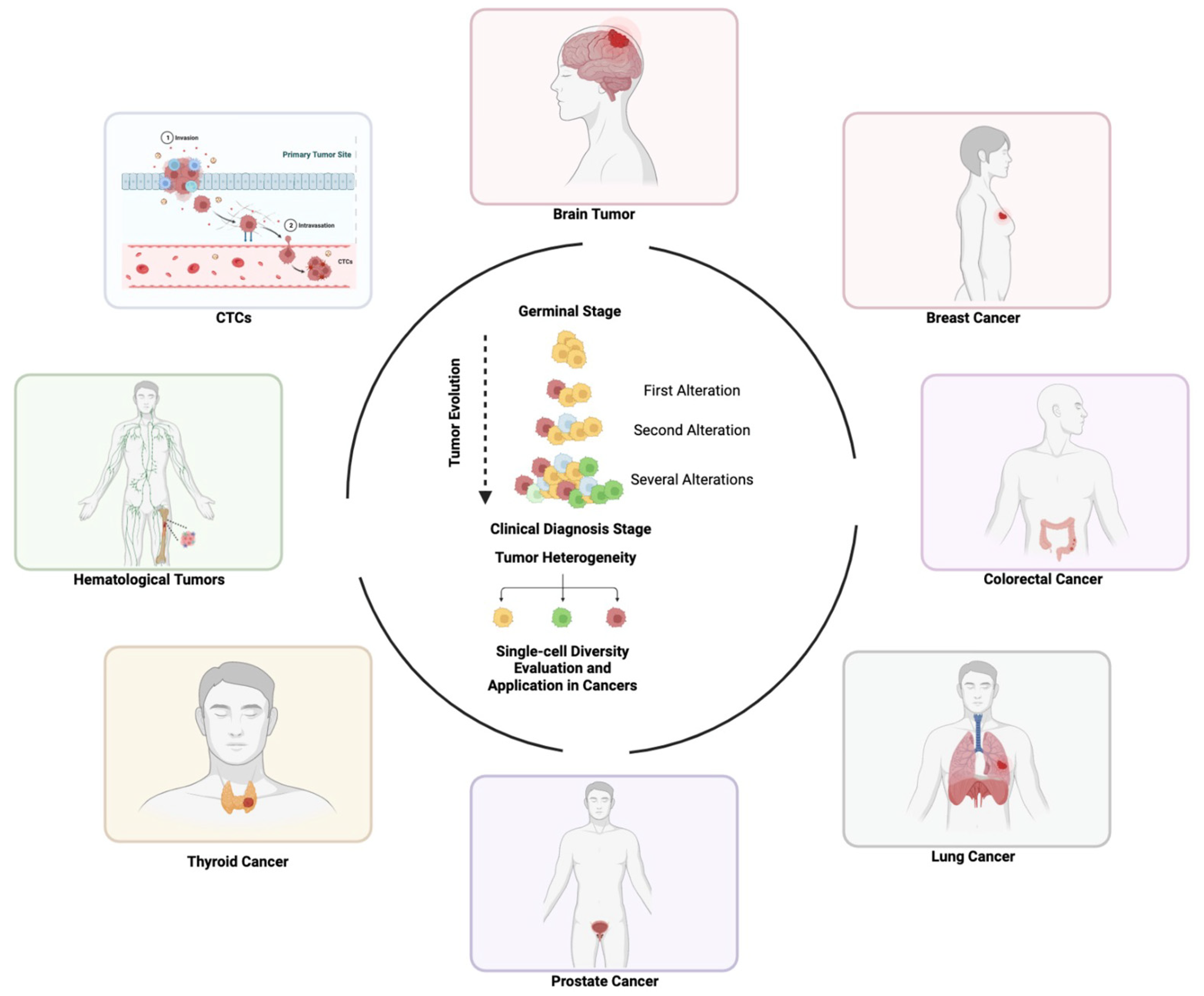 Genes 14 01330 g005 Genes 14 01330 g005