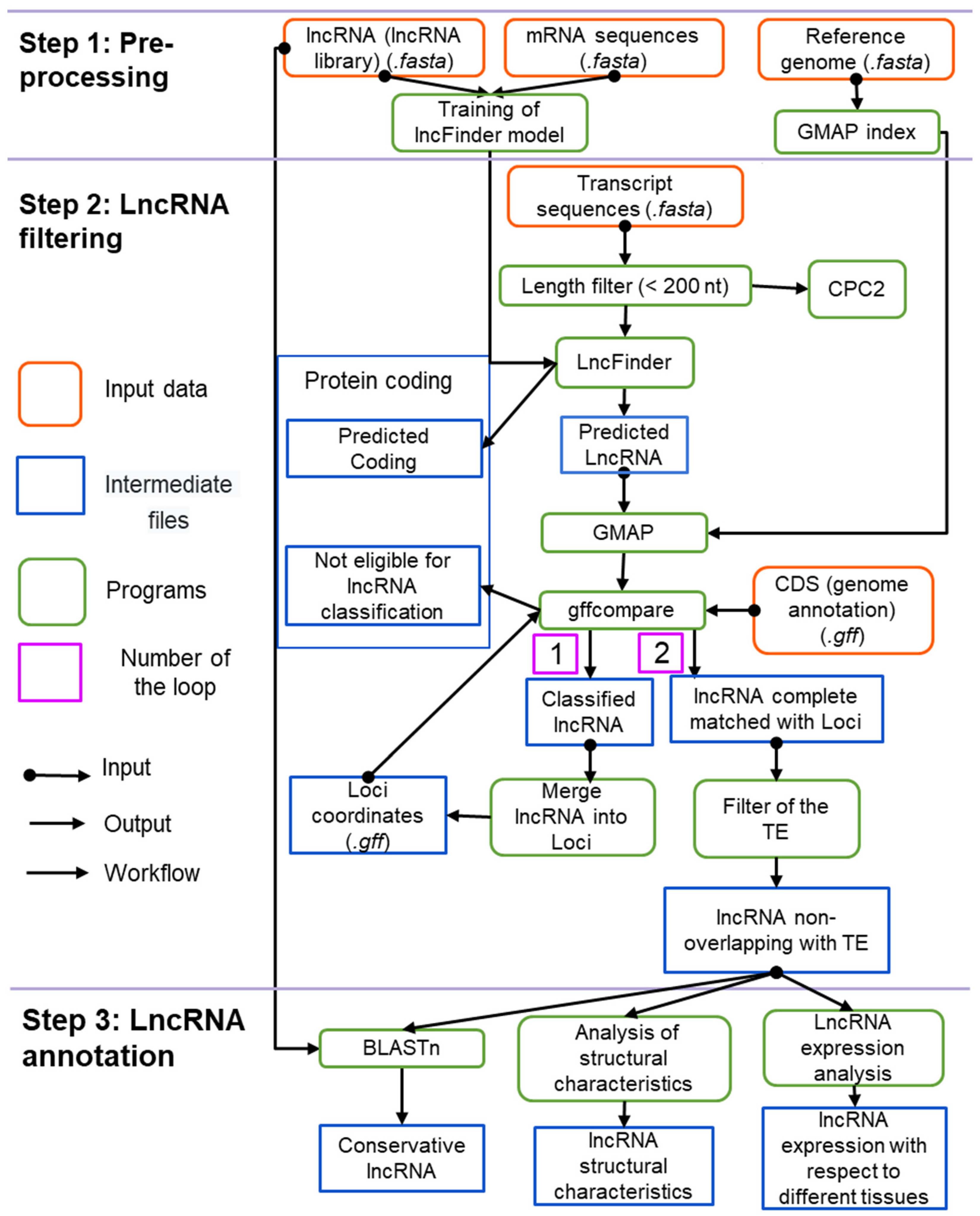 Genes 14 01331 g001 Genes 14 01331 g001