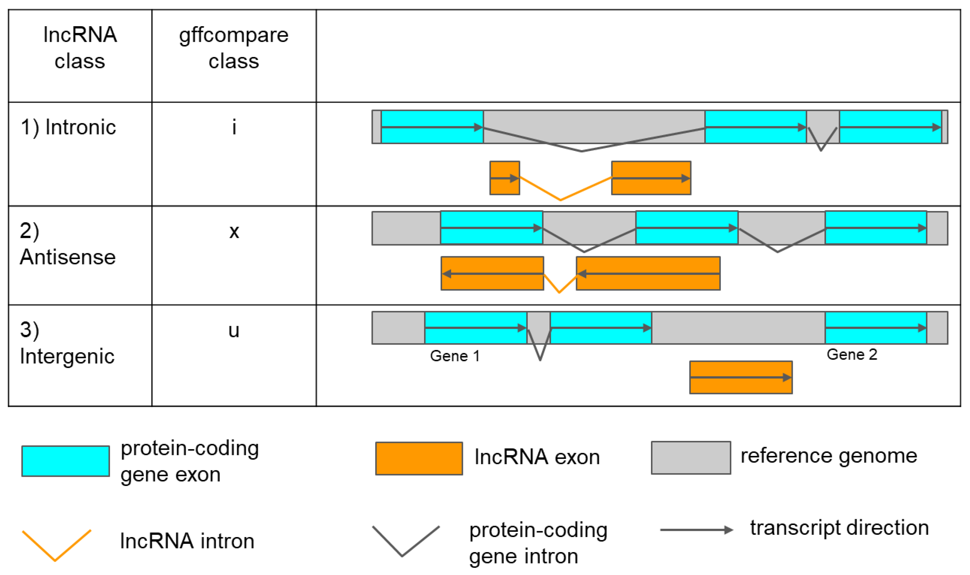 Genes 14 01331 g002 Genes 14 01331 g002