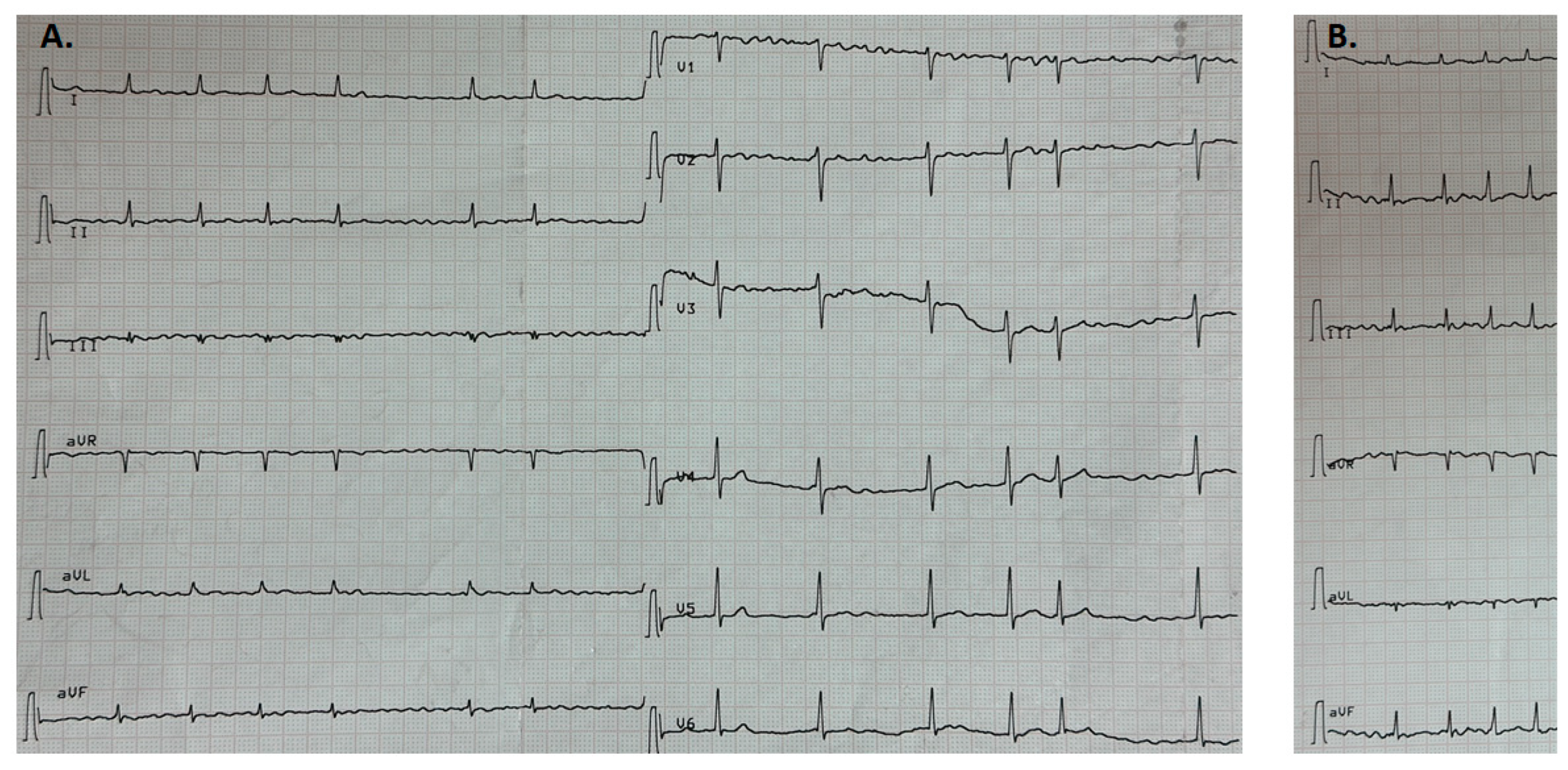 Genes 14 01332 g001 Genes 14 01332 g001