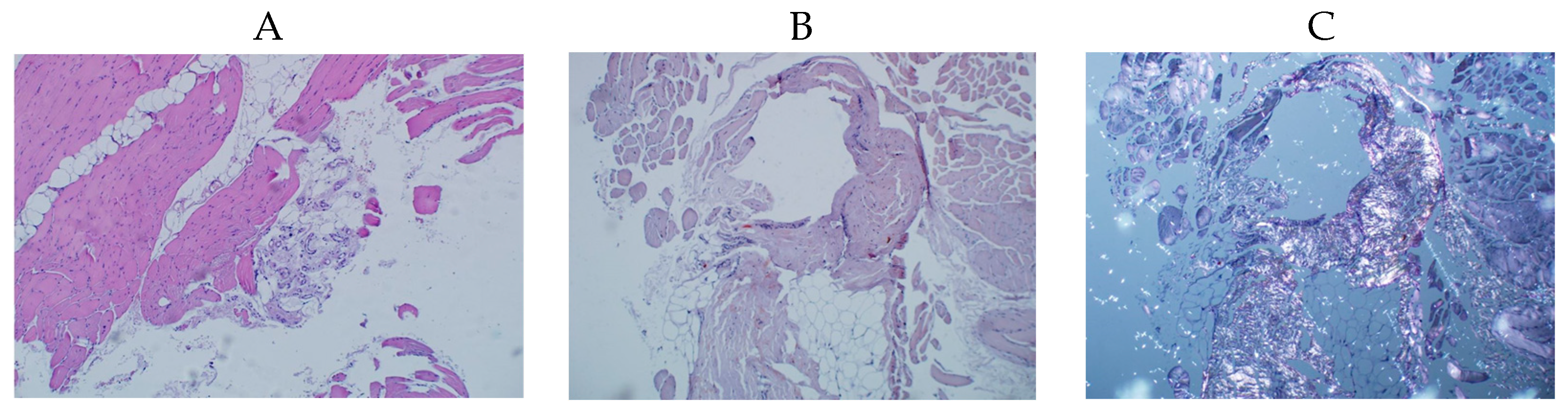 Genes 14 01332 g002 Genes 14 01332 g002