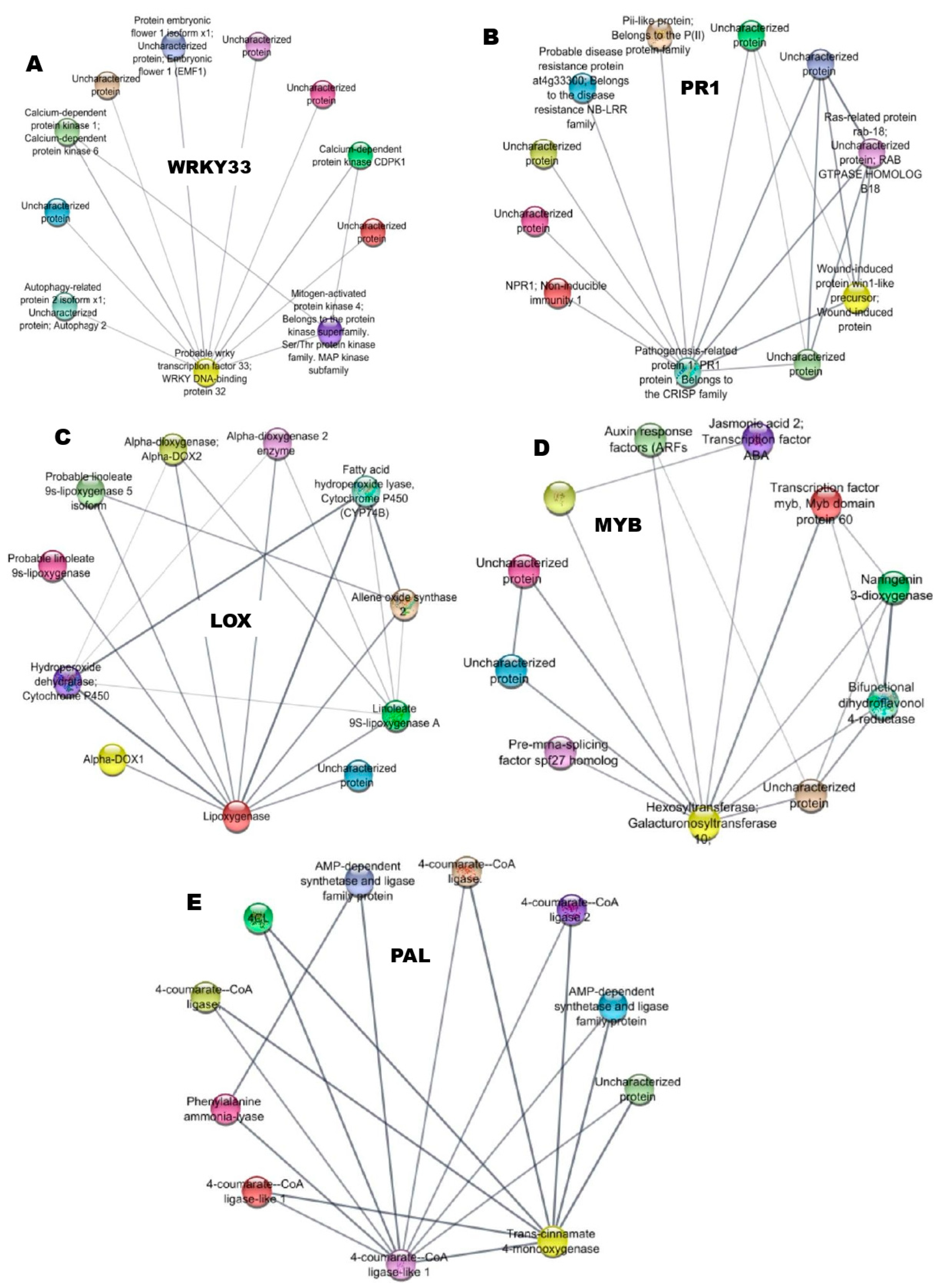 Genes 14 01335 g005 Genes 14 01335 g005