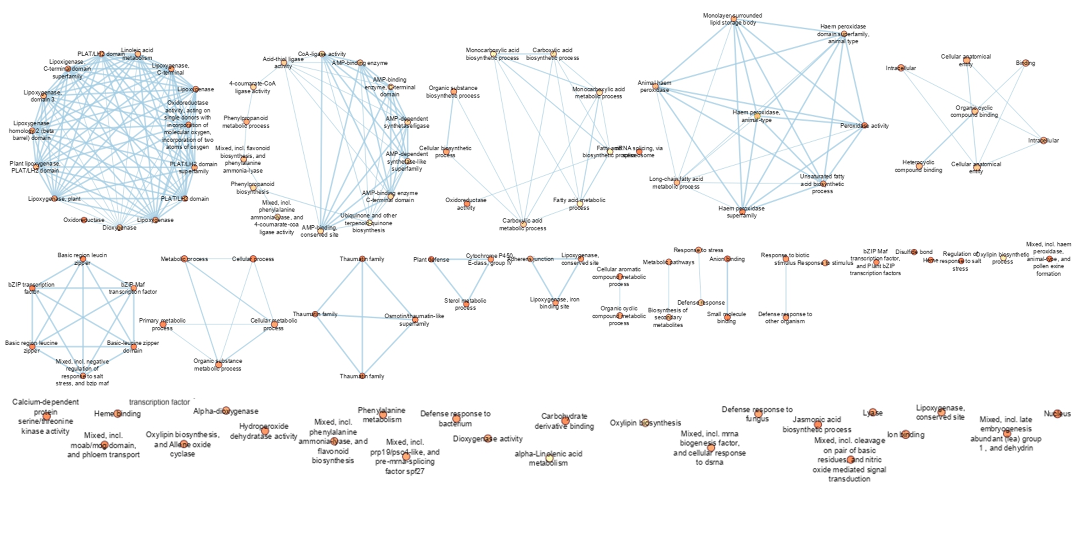 Genes 14 01335 g006 Genes 14 01335 g006