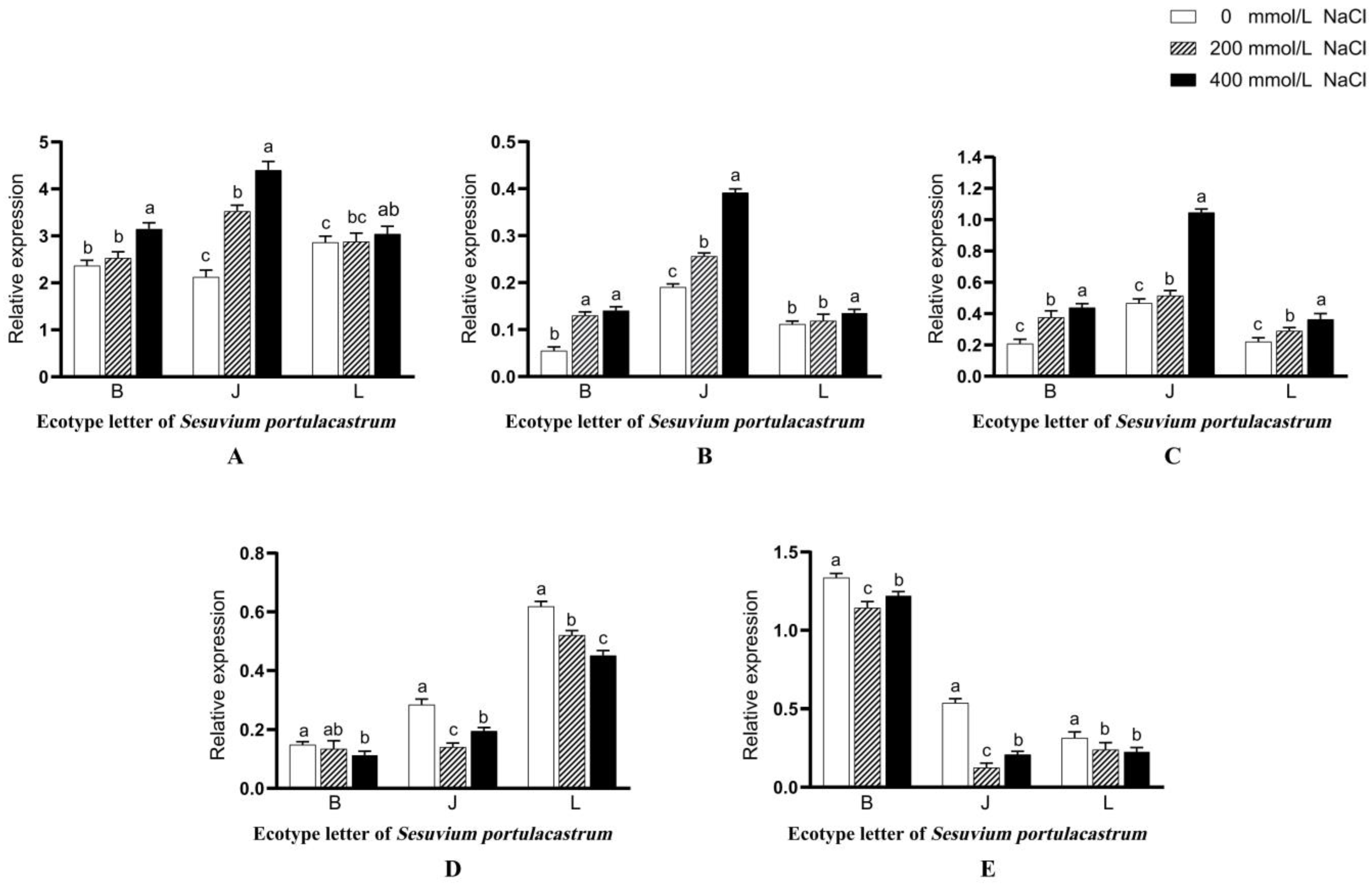 Genes 14 01336 g009 Genes 14 01336 g009