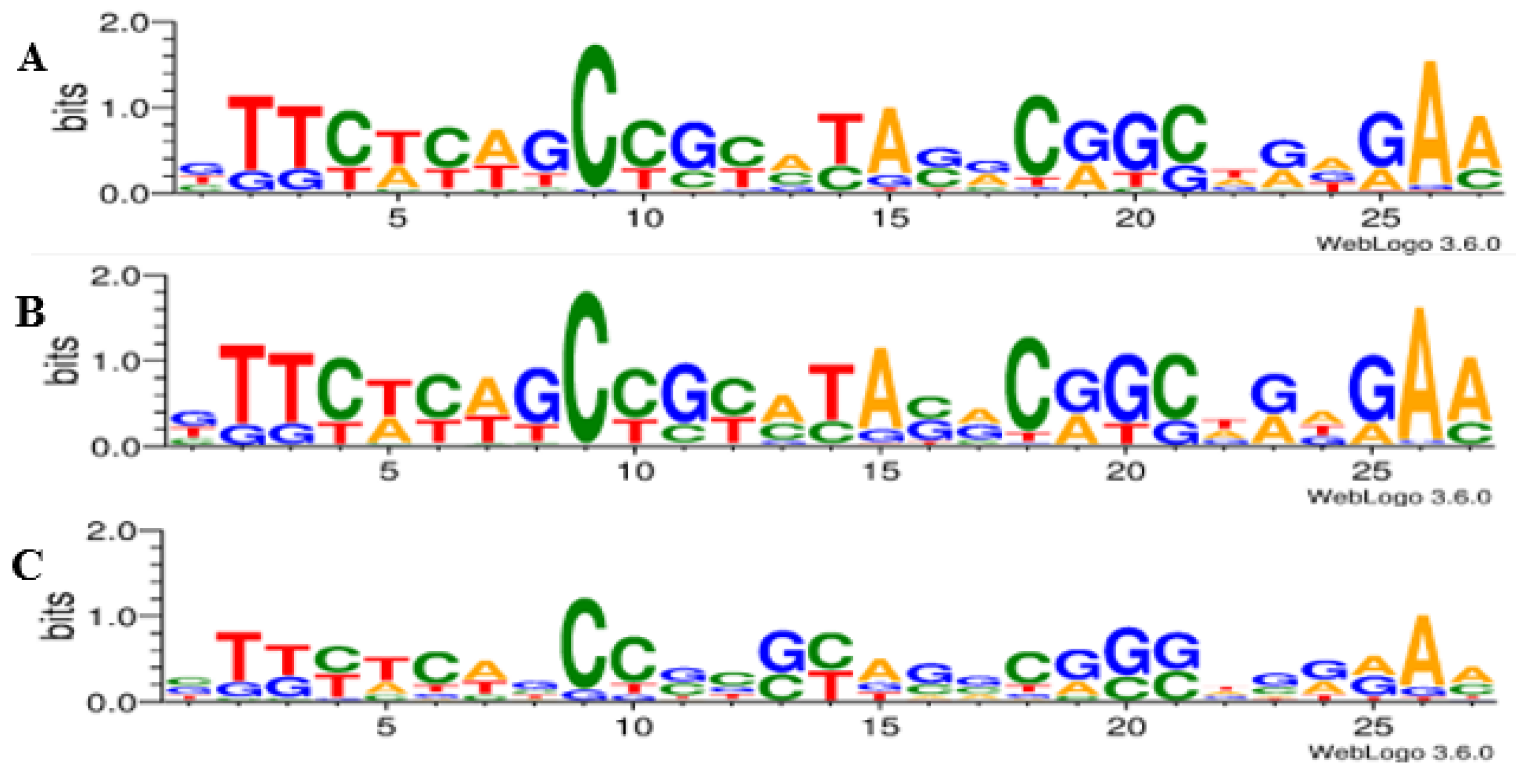Genes 14 01337 g004 Genes 14 01337 g004