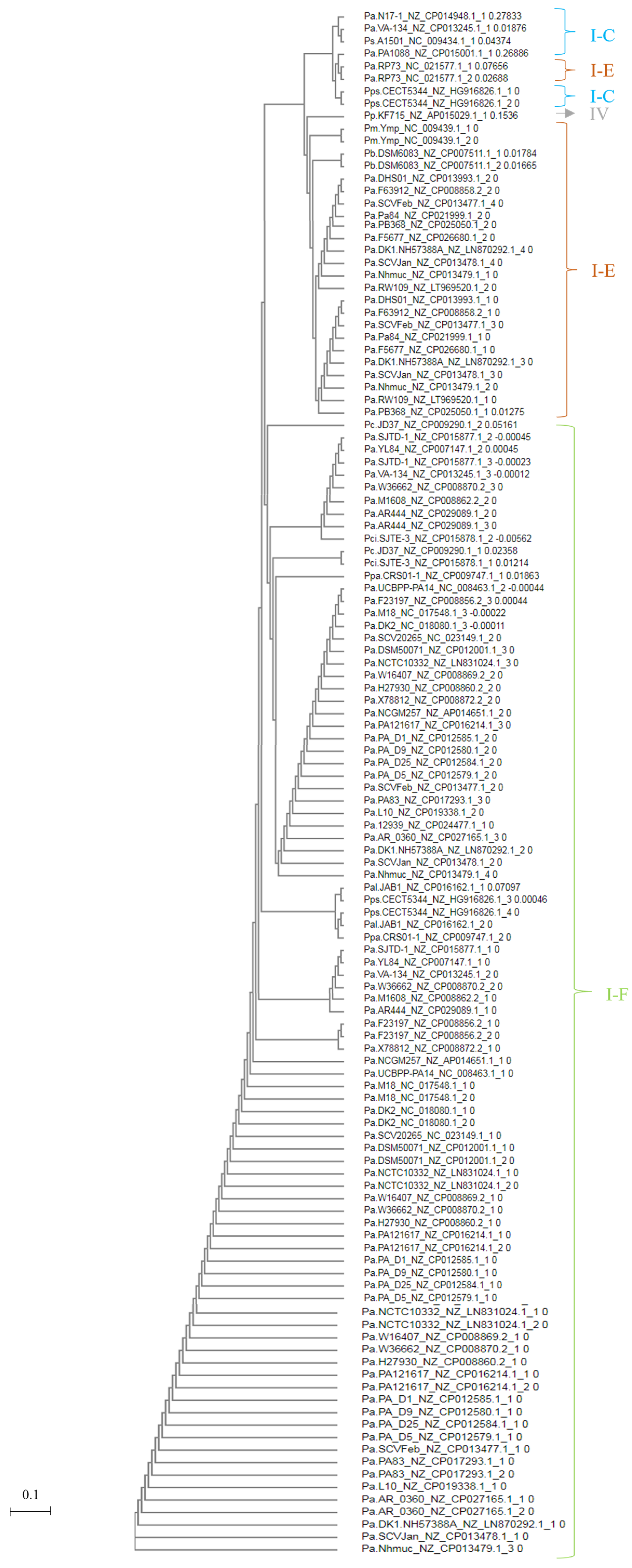 Genes 14 01337 g005 Genes 14 01337 g005