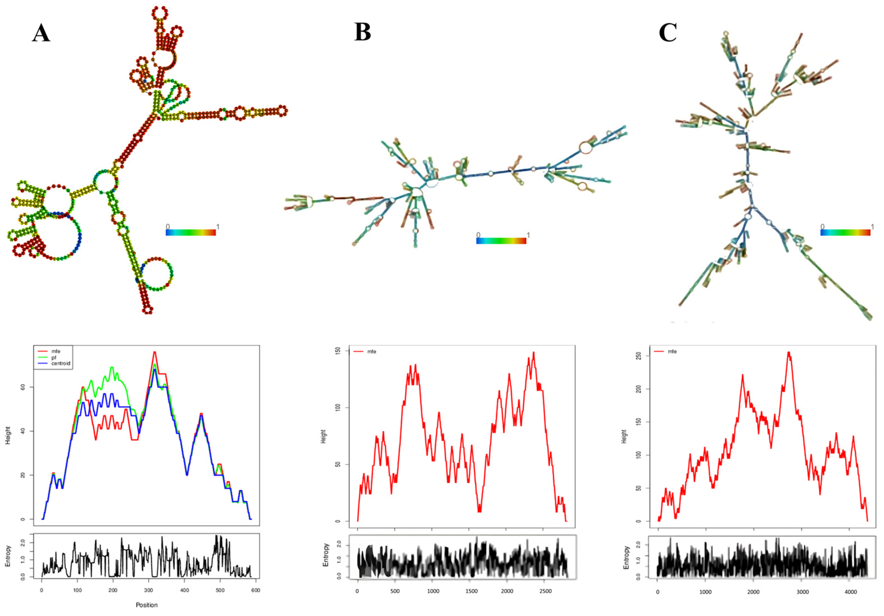 Genes 14 01337 g007 Genes 14 01337 g007
