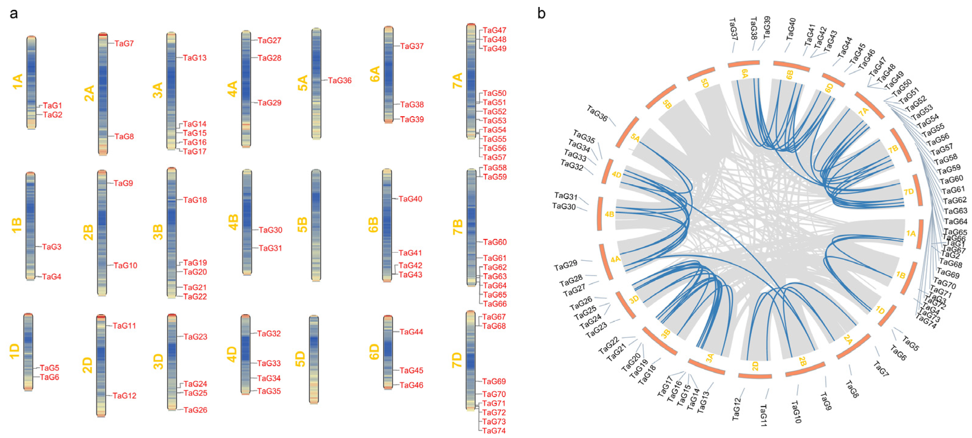 Genes 14 01341 g003
