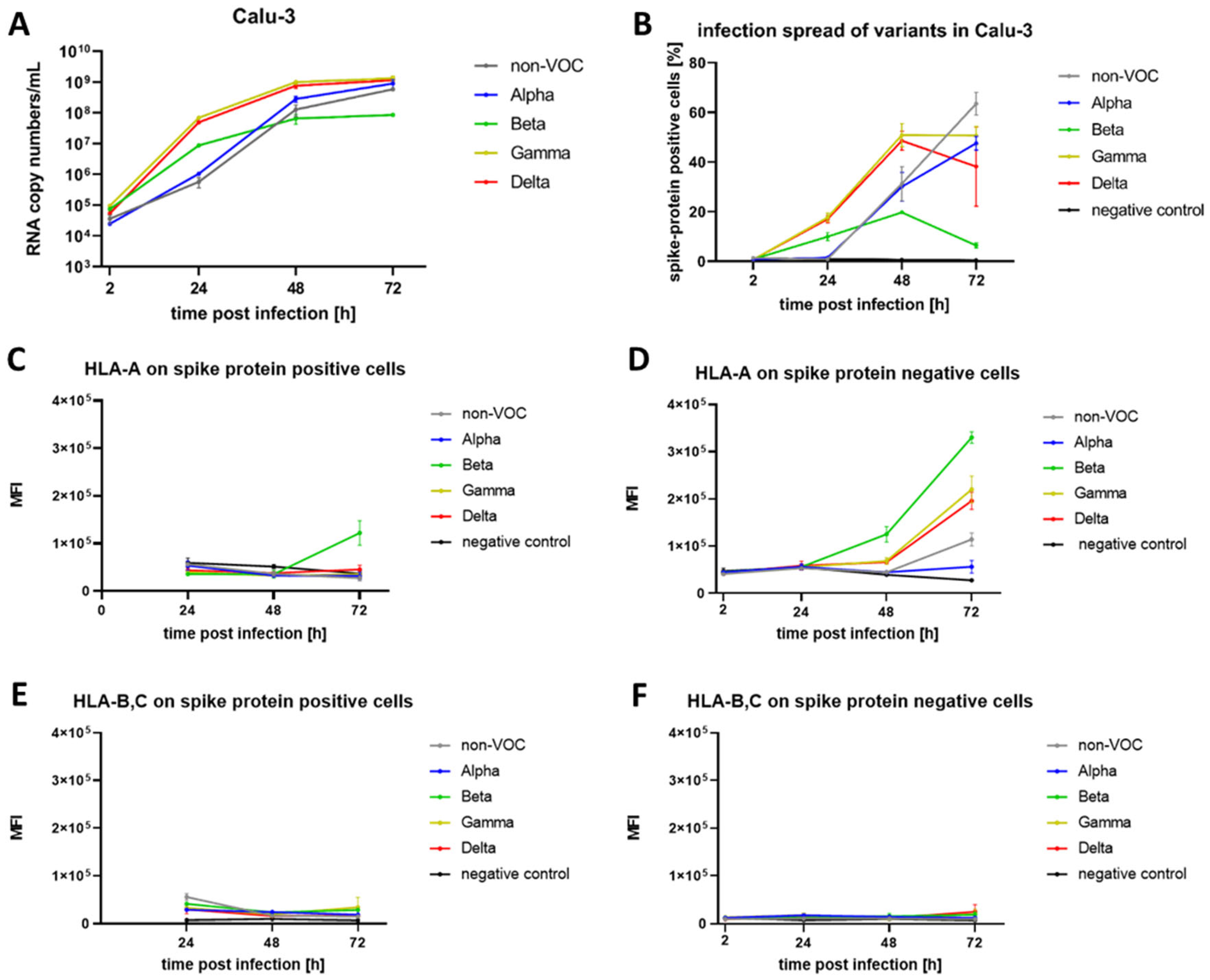 Genes 14 01348 g001
