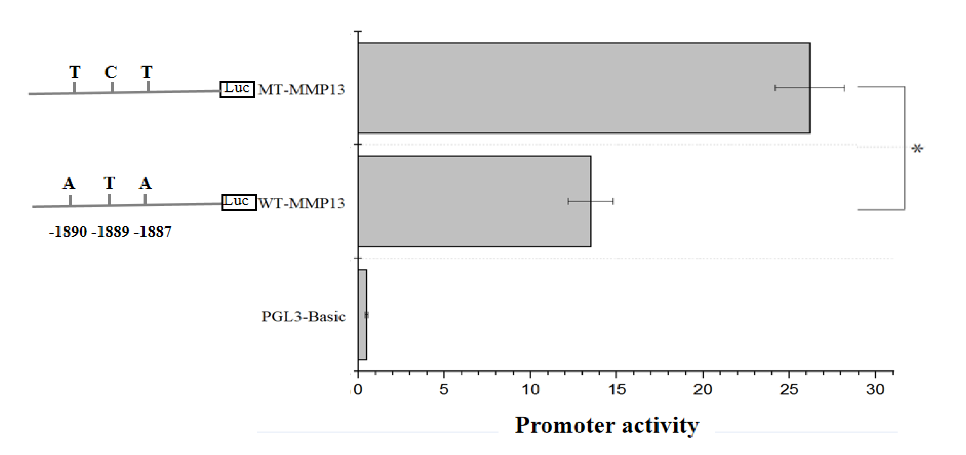 Genes 14 01352 g002 Genes 14 01352 g002