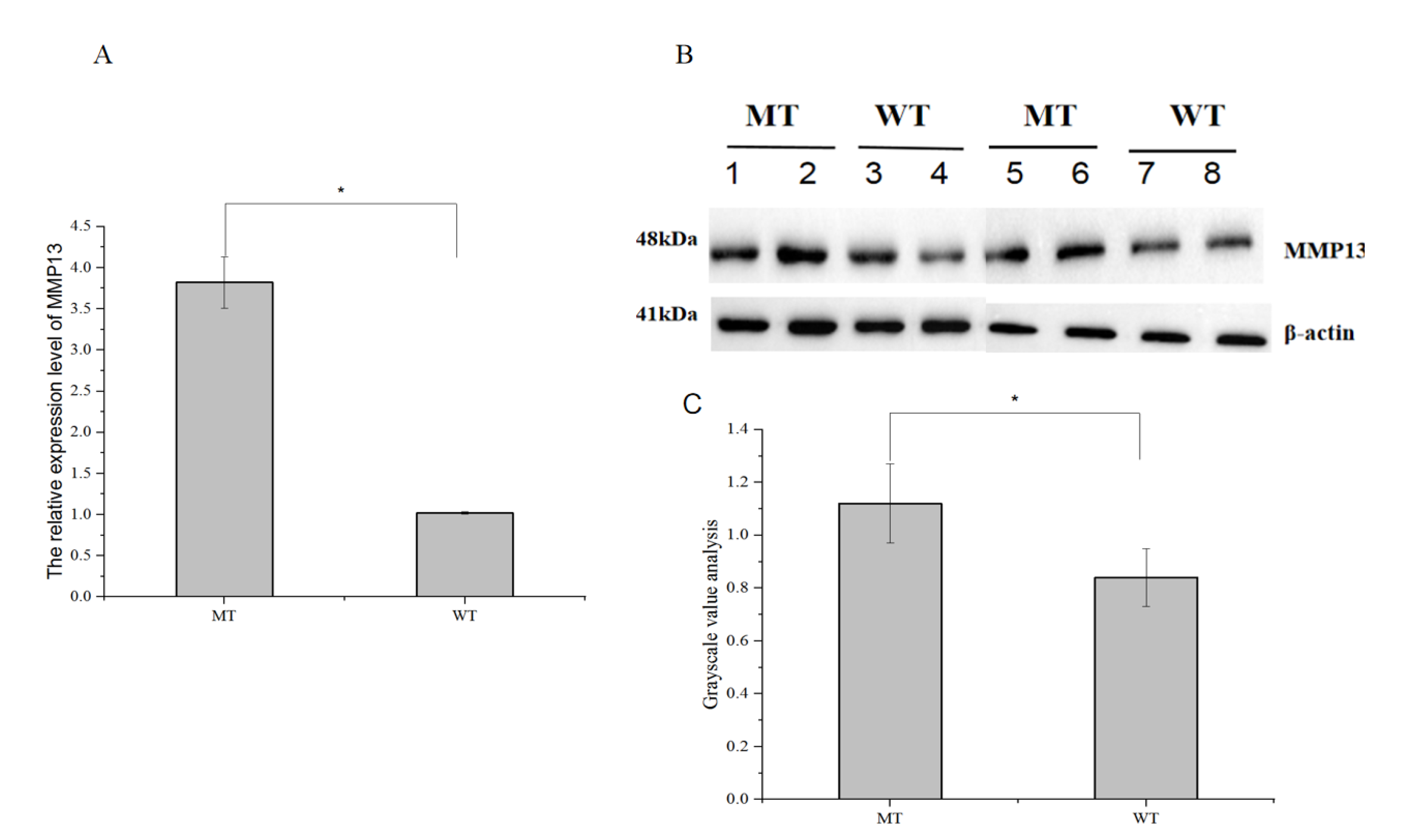Genes 14 01352 g003 Genes 14 01352 g003