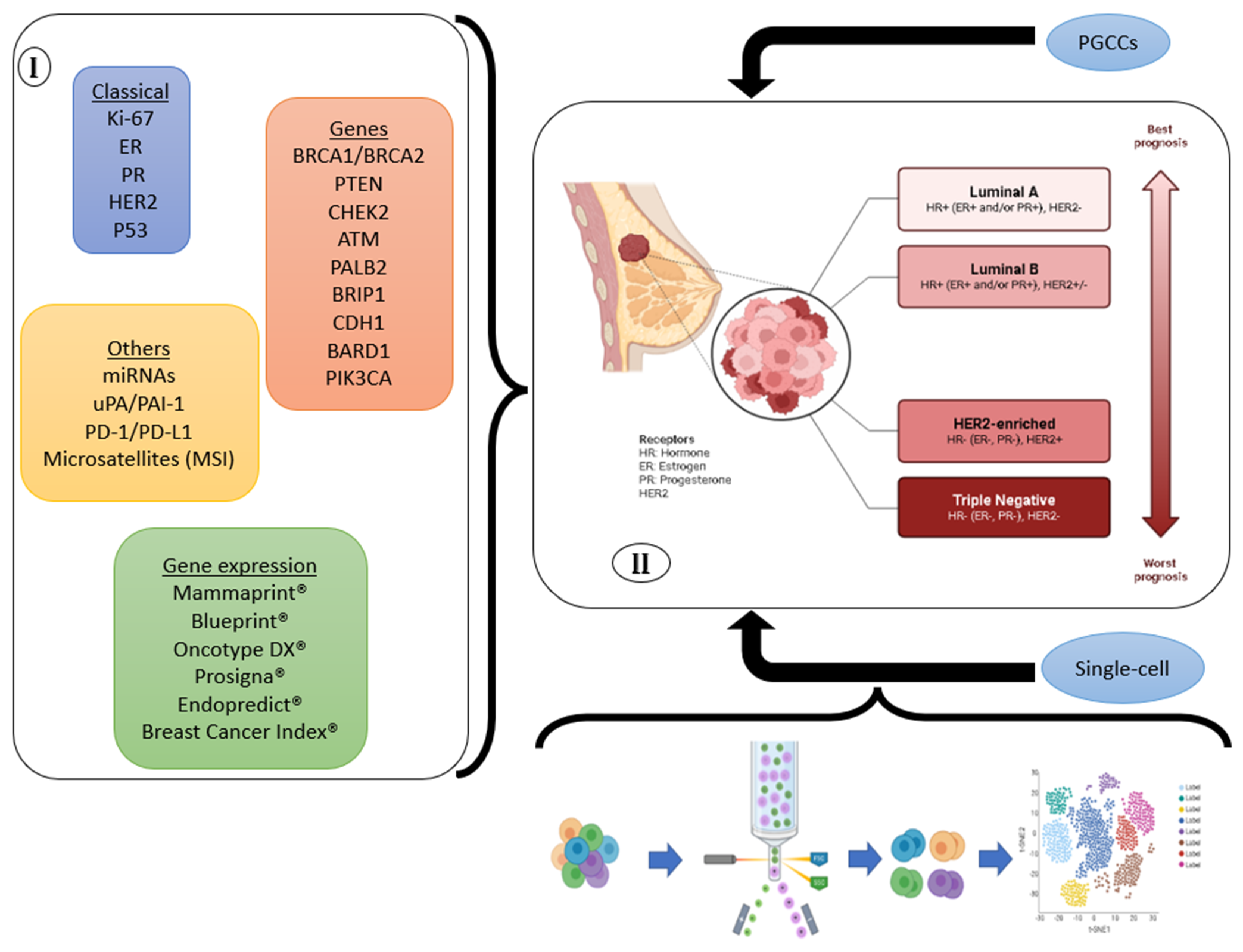 Biomarkers in Breast Cancer: An Old Story with a New End