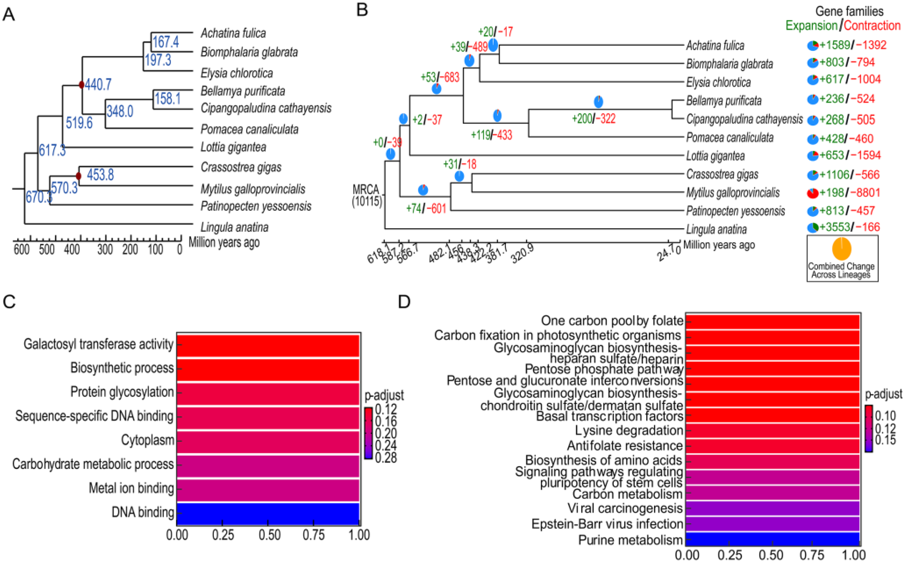 Genes 14 01365 g004