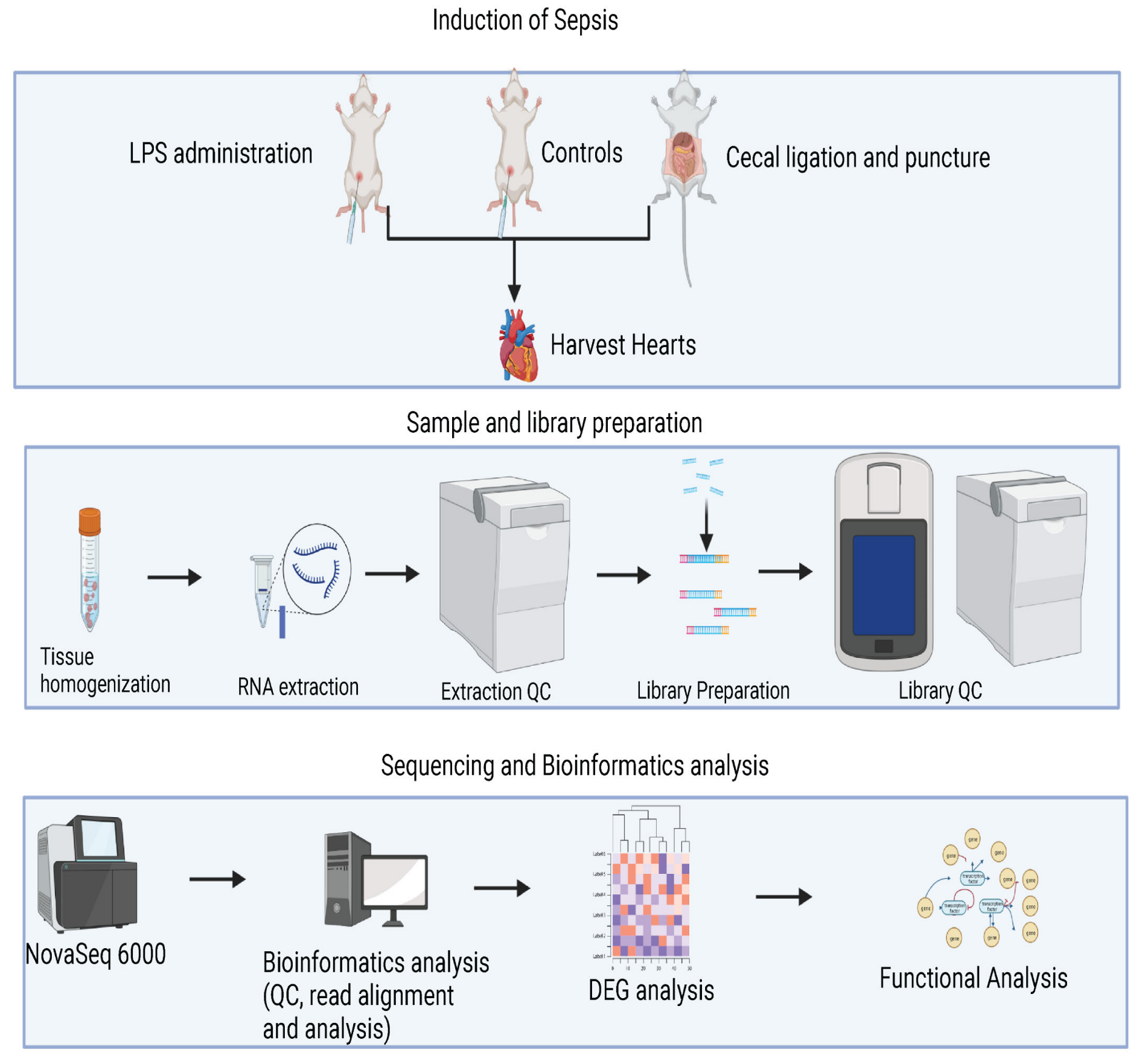 Genes 14 01366 g001 Genes 14 01366 g001