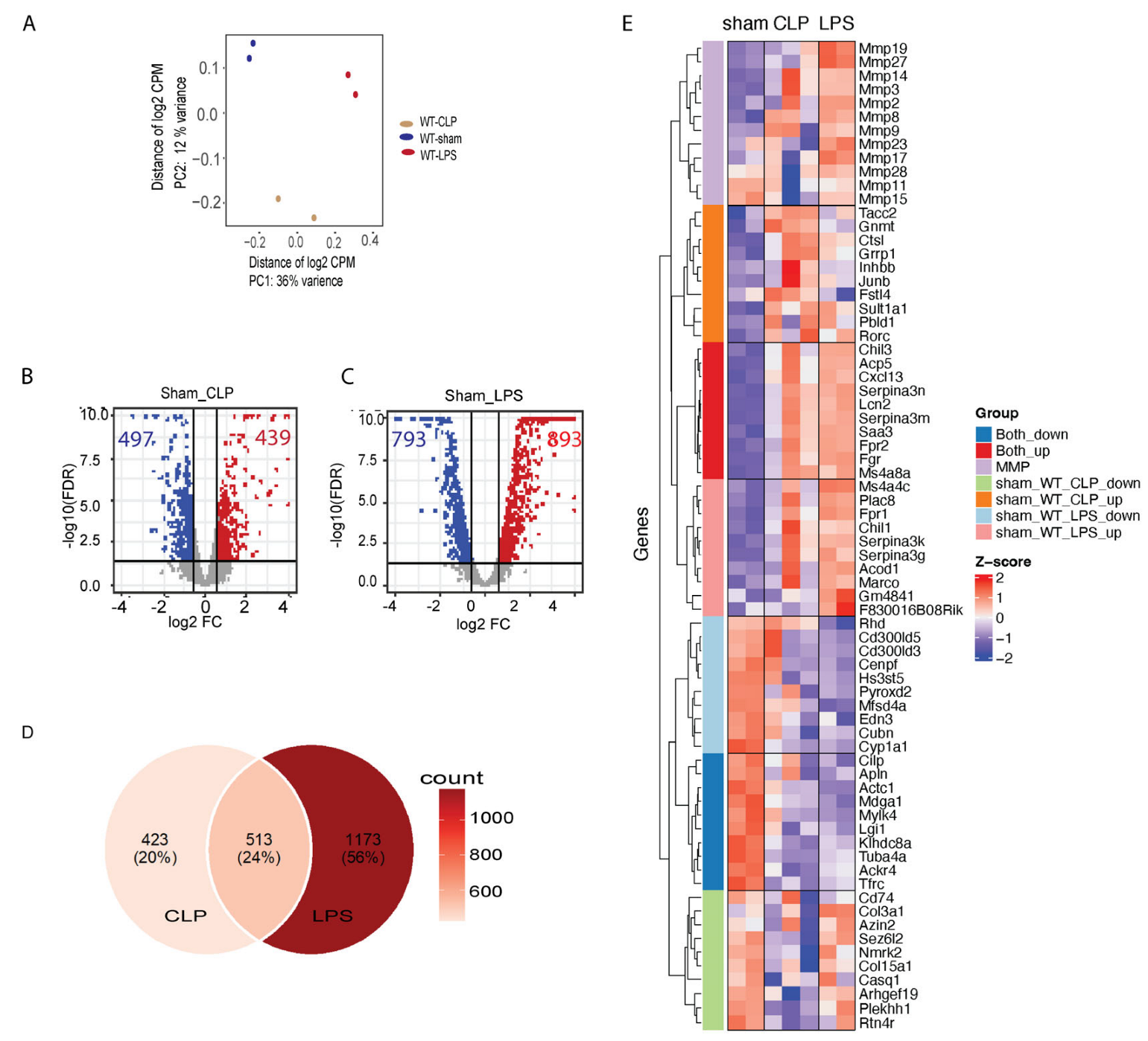 Genes 14 01366 g003 Genes 14 01366 g003