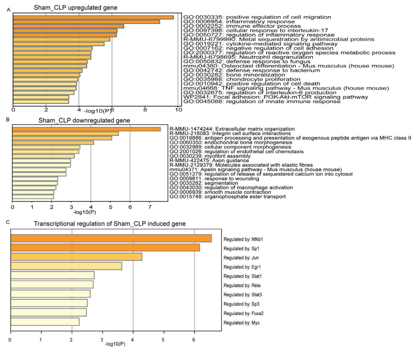 Genes 14 01366 g004 Genes 14 01366 g004