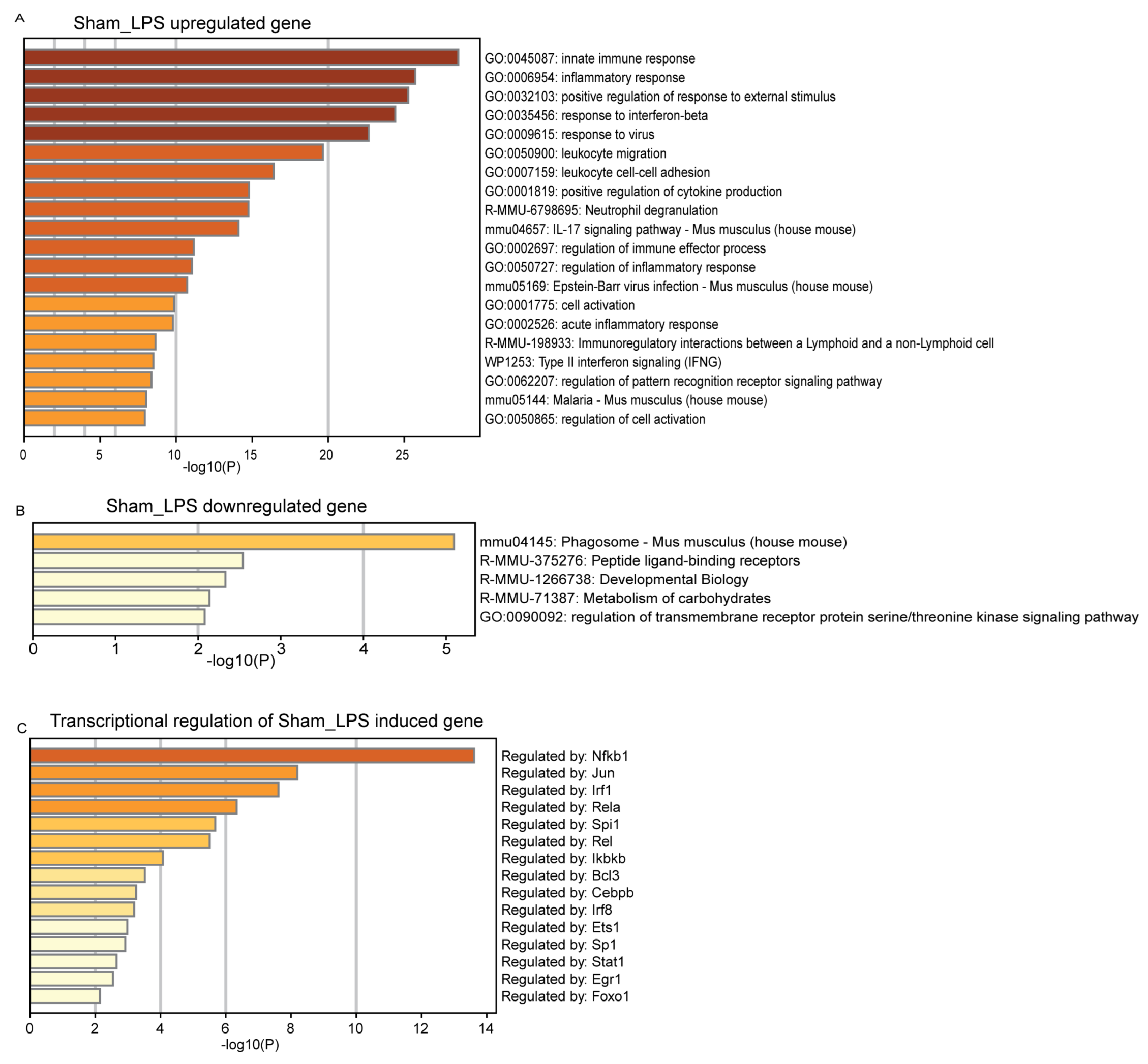 Genes 14 01366 g005 Genes 14 01366 g005