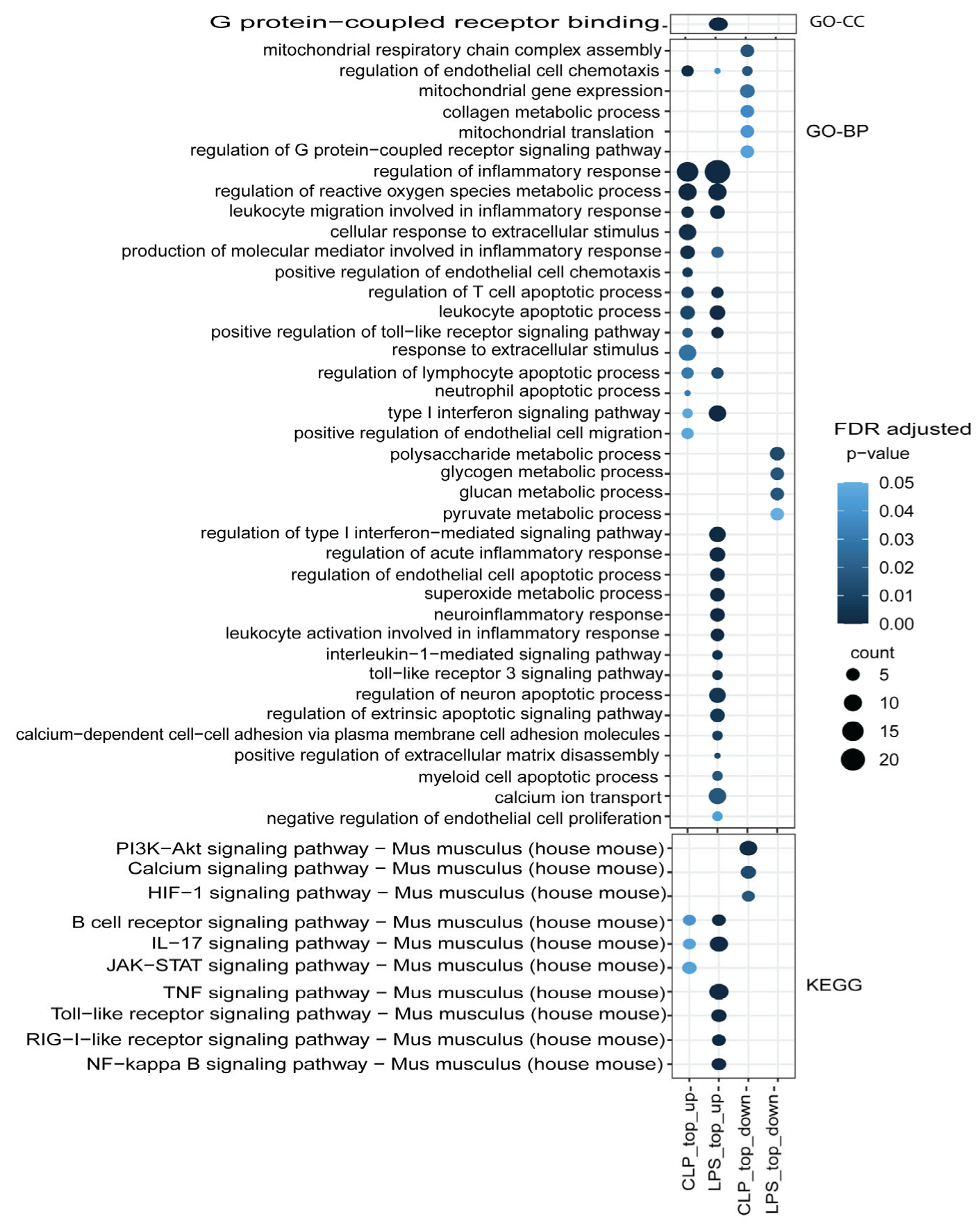 Genes 14 01366 g006 Genes 14 01366 g006