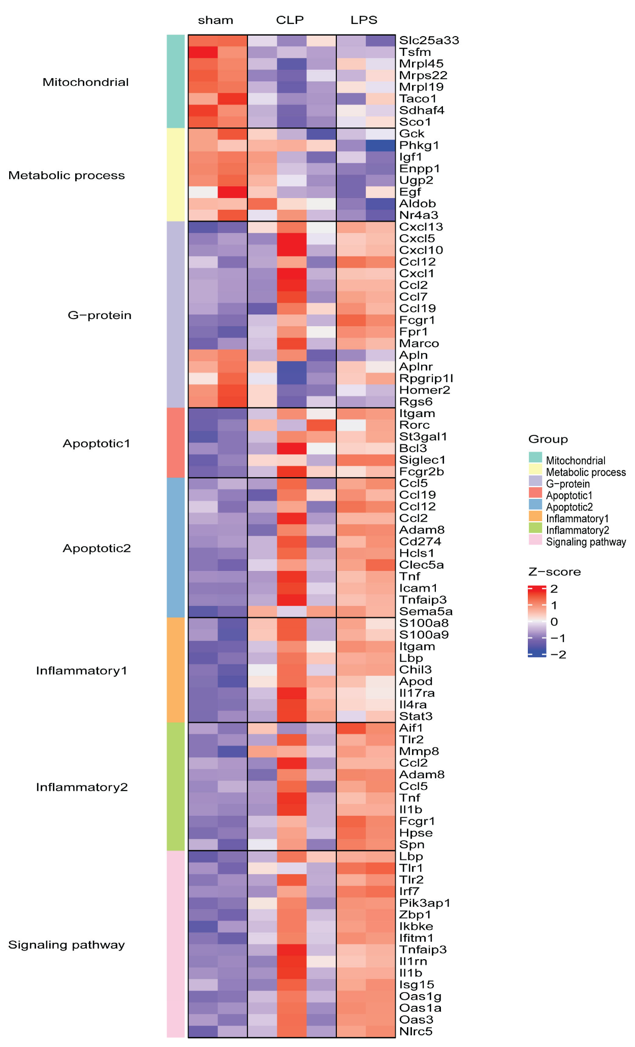 Genes 14 01366 g007 Genes 14 01366 g007