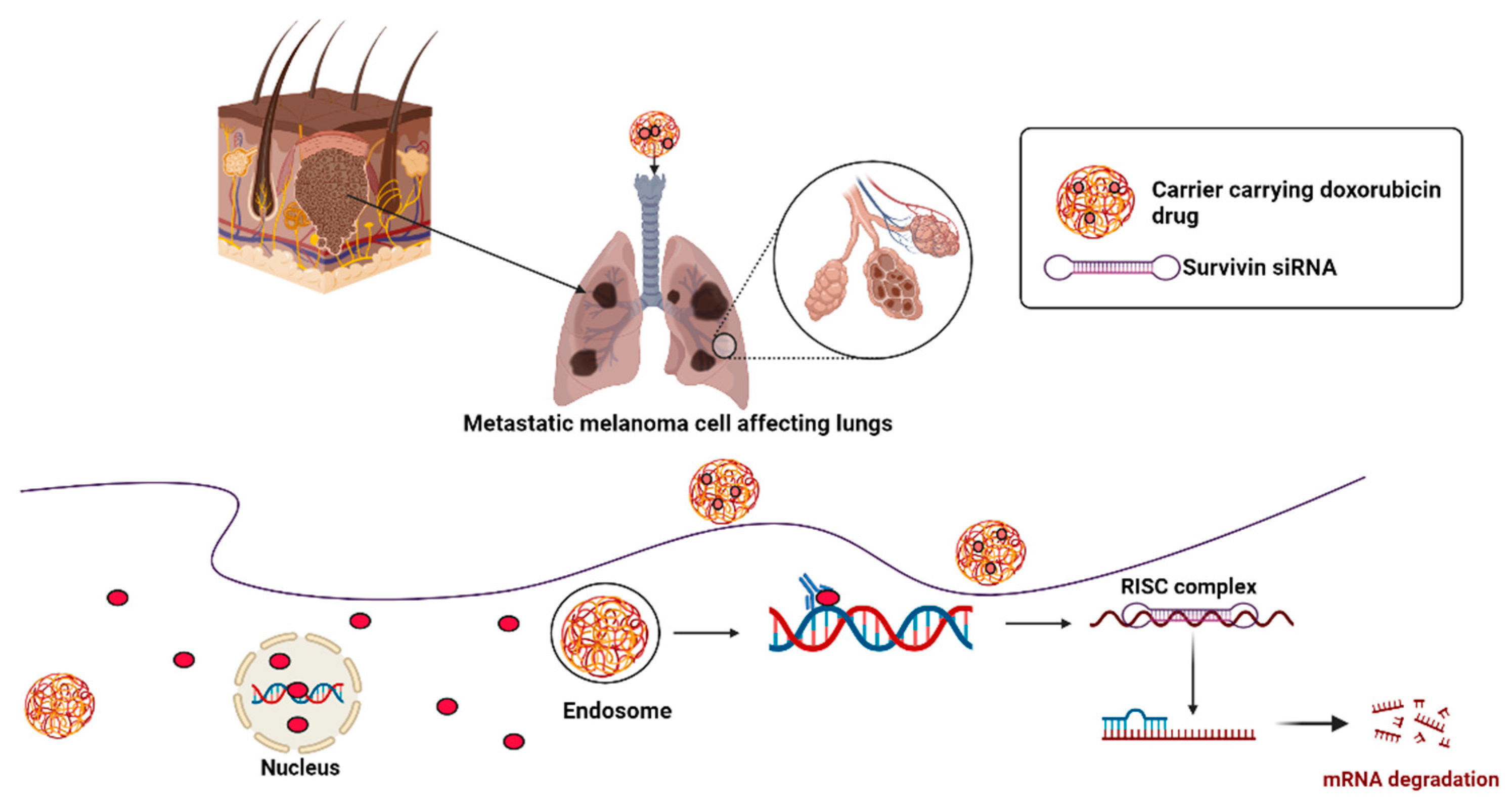 Genes 14 01370 g003 Genes 14 01370 g003