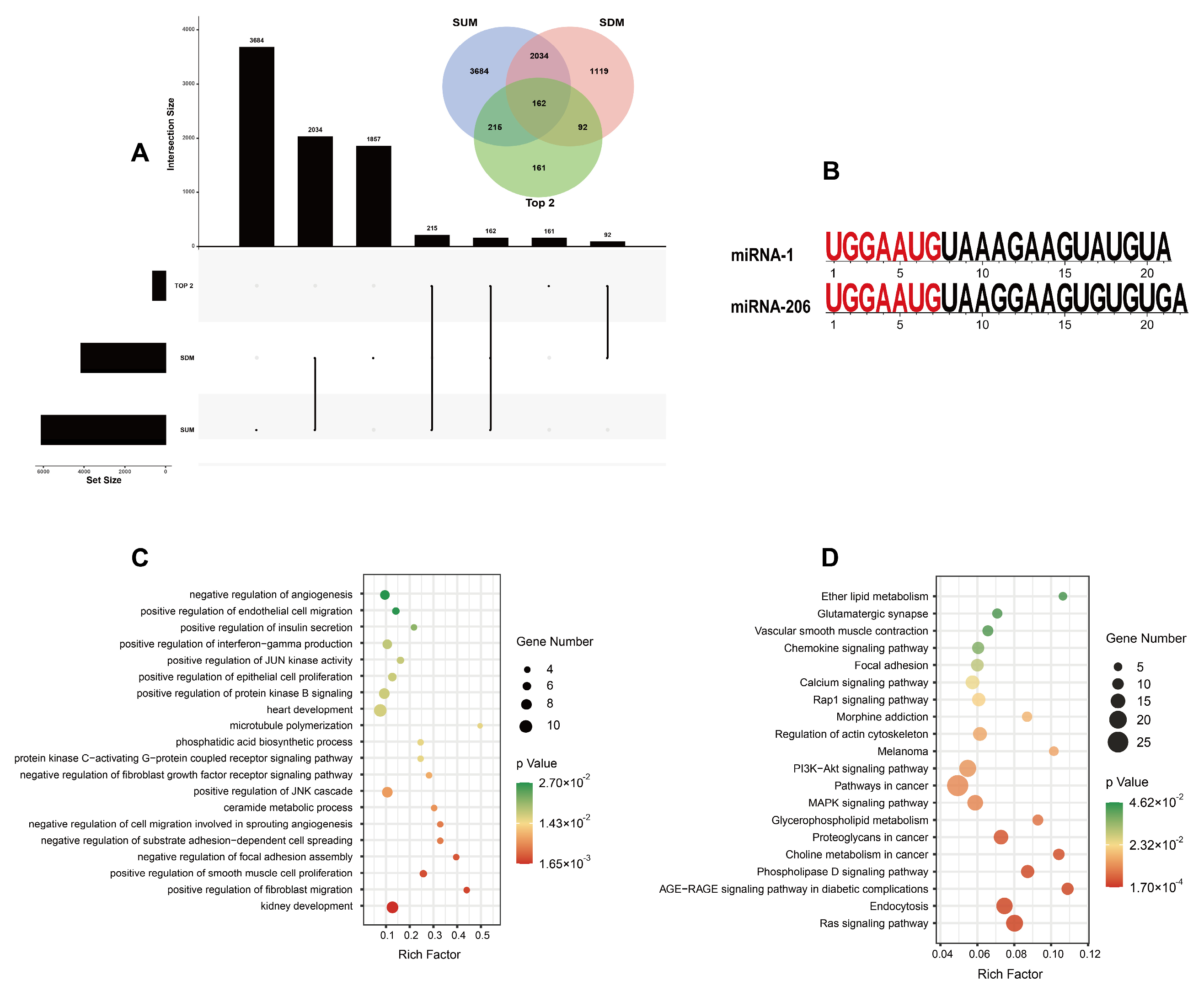 Genes 14 01372 g003 Genes 14 01372 g003