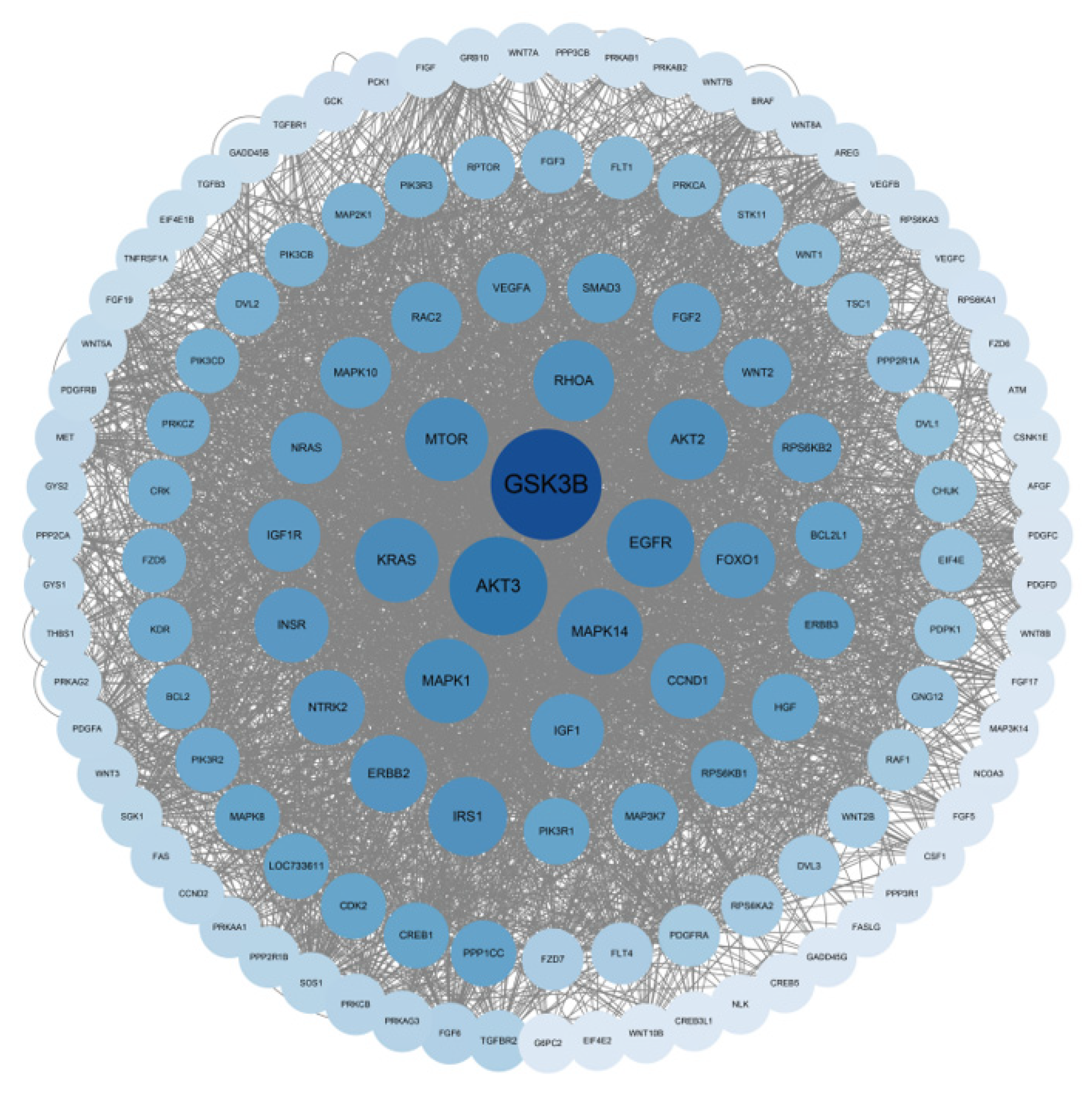 Genes 14 01372 g005 Genes 14 01372 g005